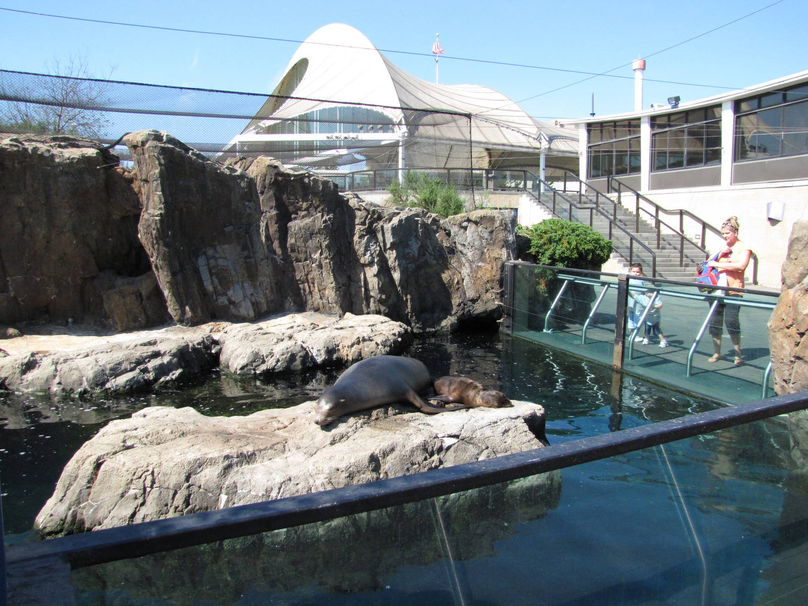 New York Aquarium 2010 - Side view of Front of Seal and Sea Lion exhibit