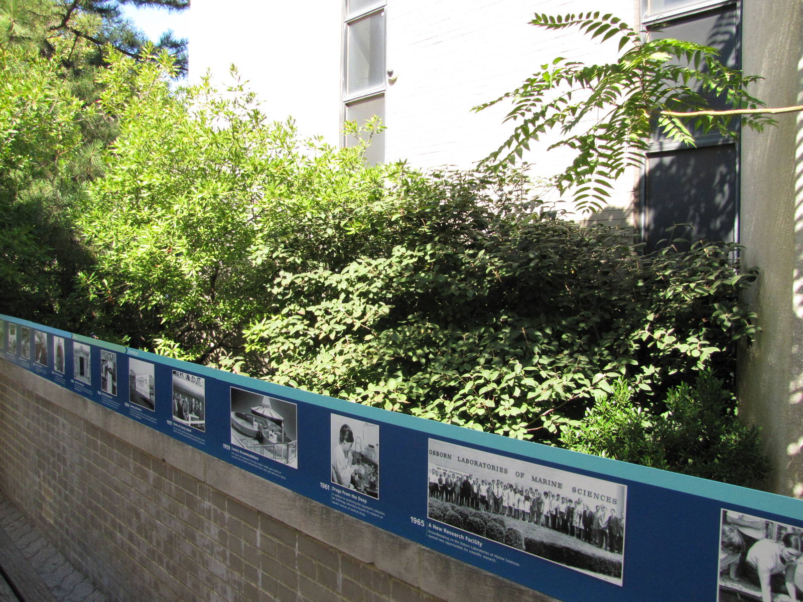 New York Aquarium 2010 - Small history exhibit