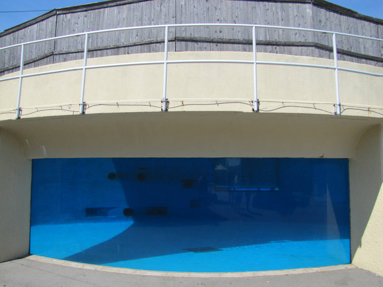 New York Aquarium 2010 - Viewing window into former Beluga exhibit