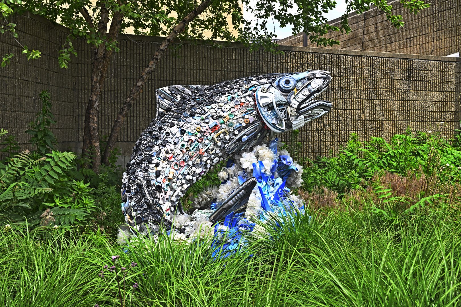 New York Aquarium - Salmon Art Piece