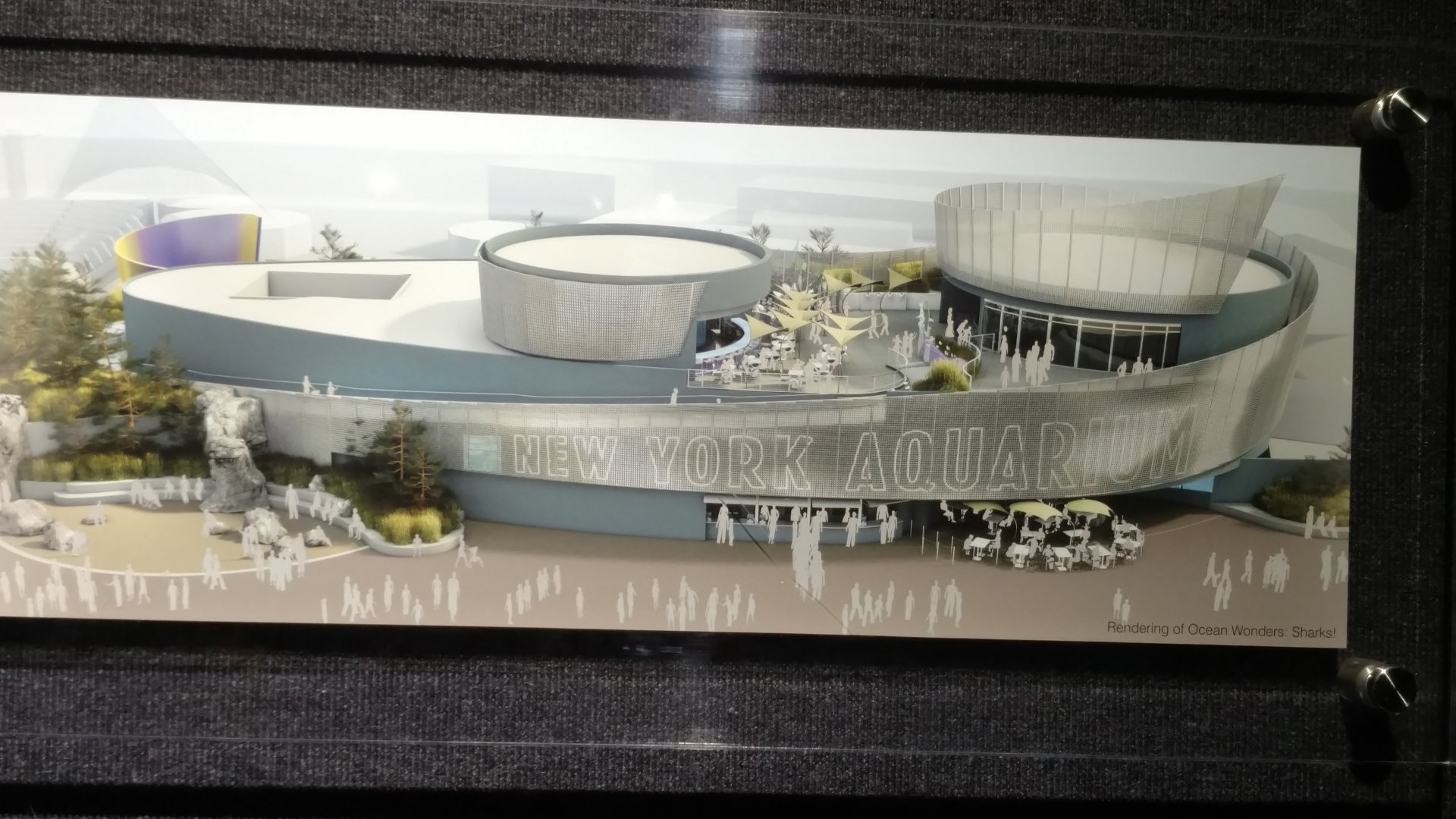 New York Aquarium