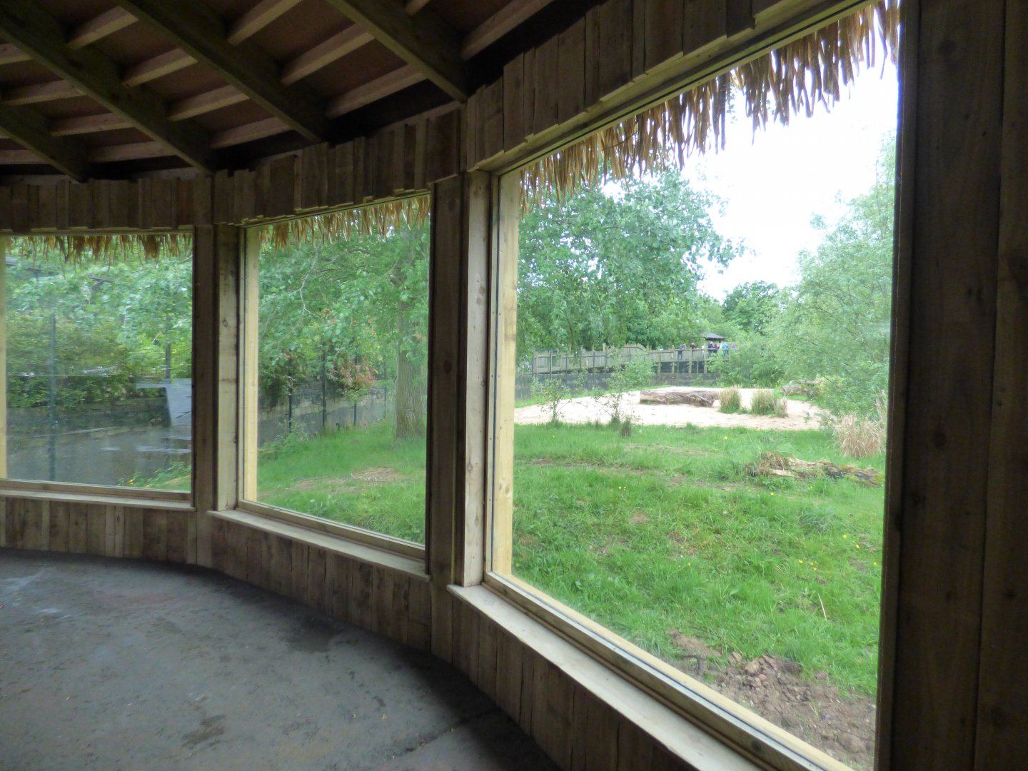 New Yurt Viewing Windows