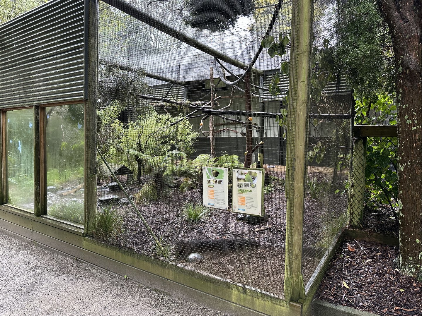 New Zealand Aviary