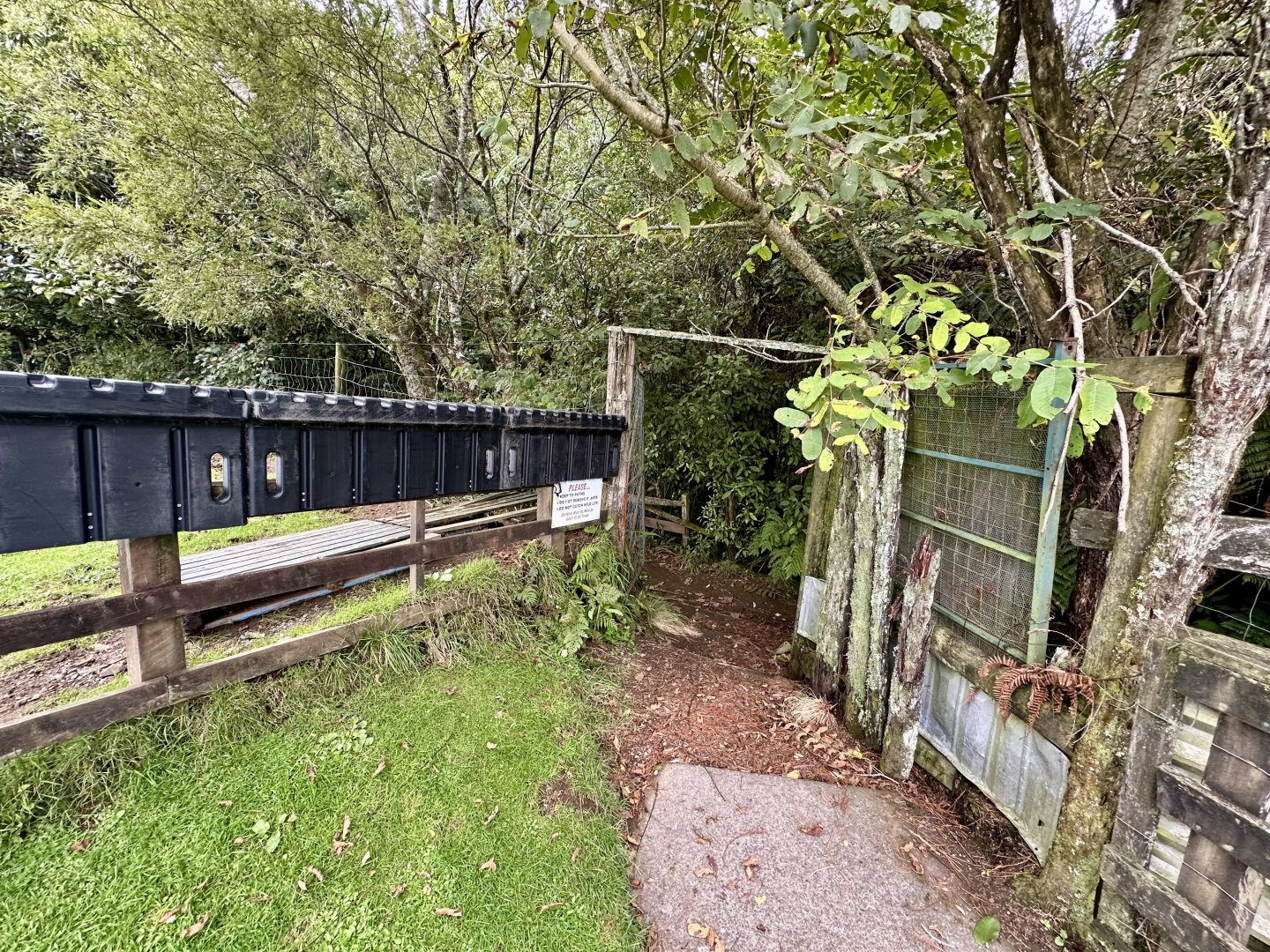 New Zealand Bushwalk Entrance