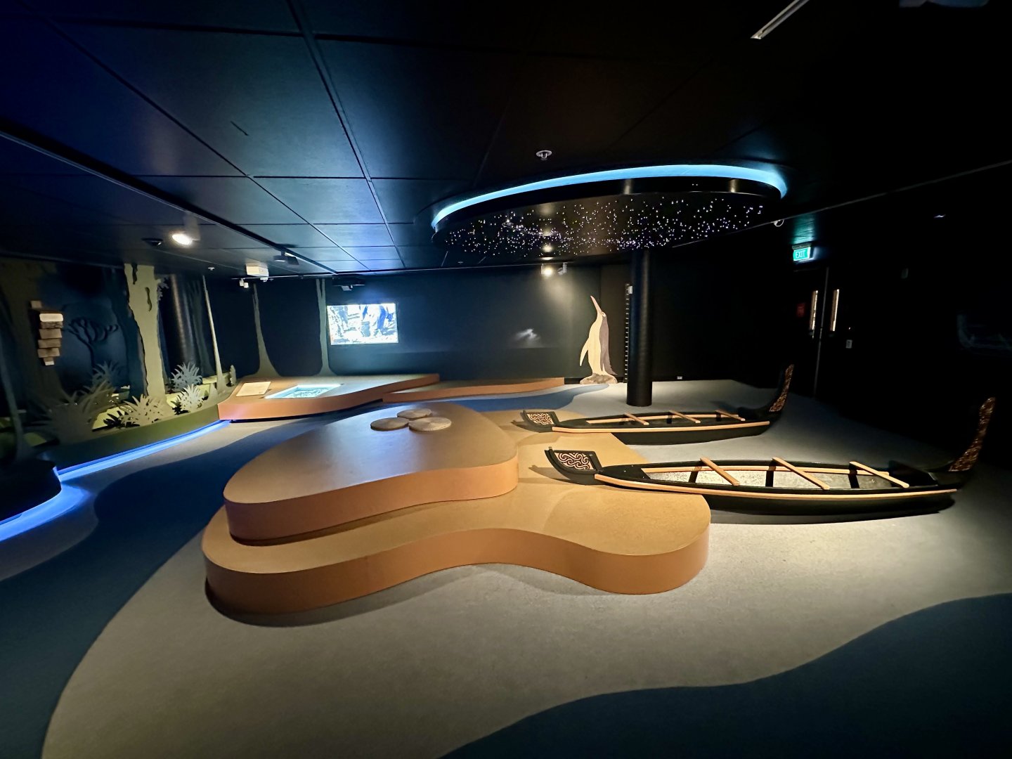 New Zealand Coast Exhibit