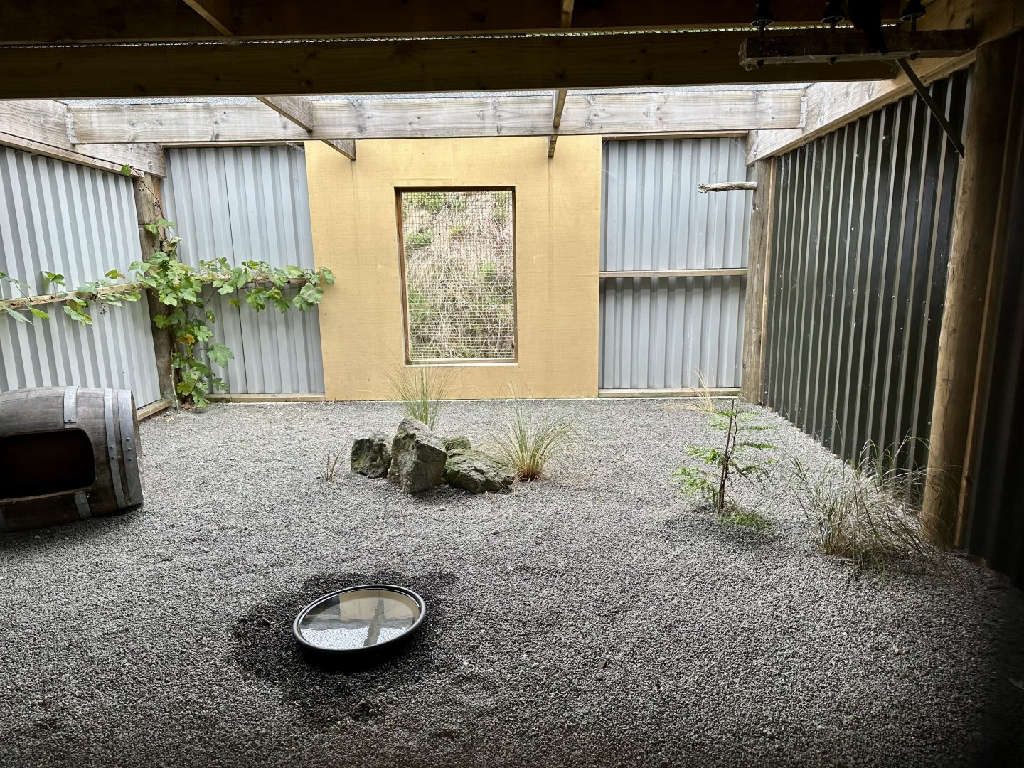 New Zealand Falcon Aviary 1