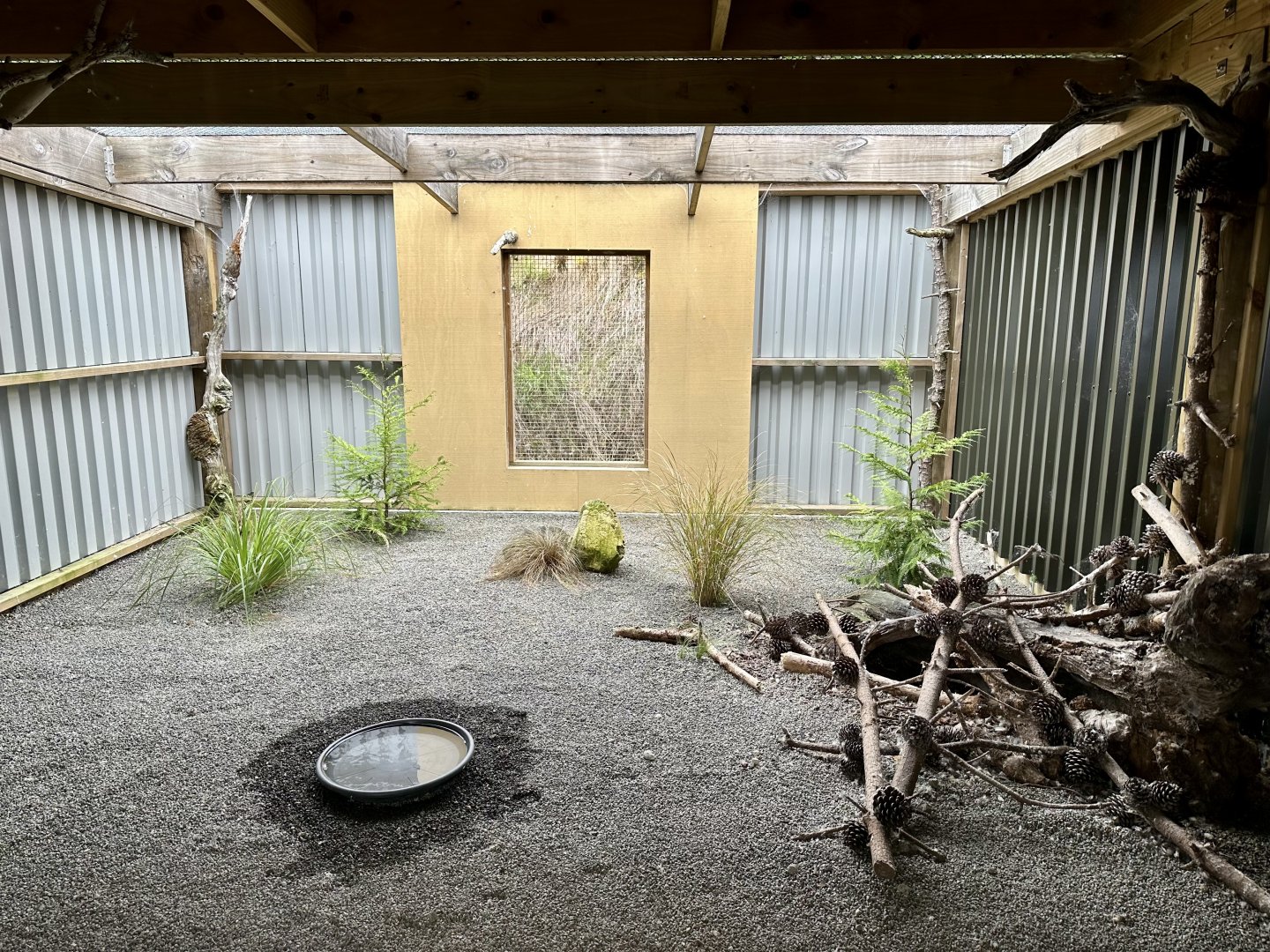 New Zealand Falcon Aviary 2