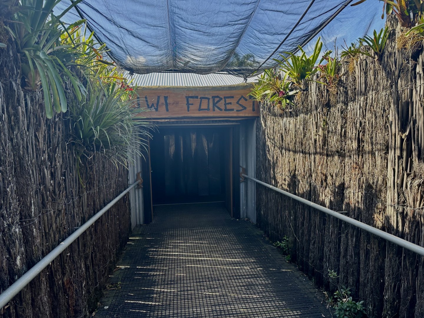 New Zealand Forest Building