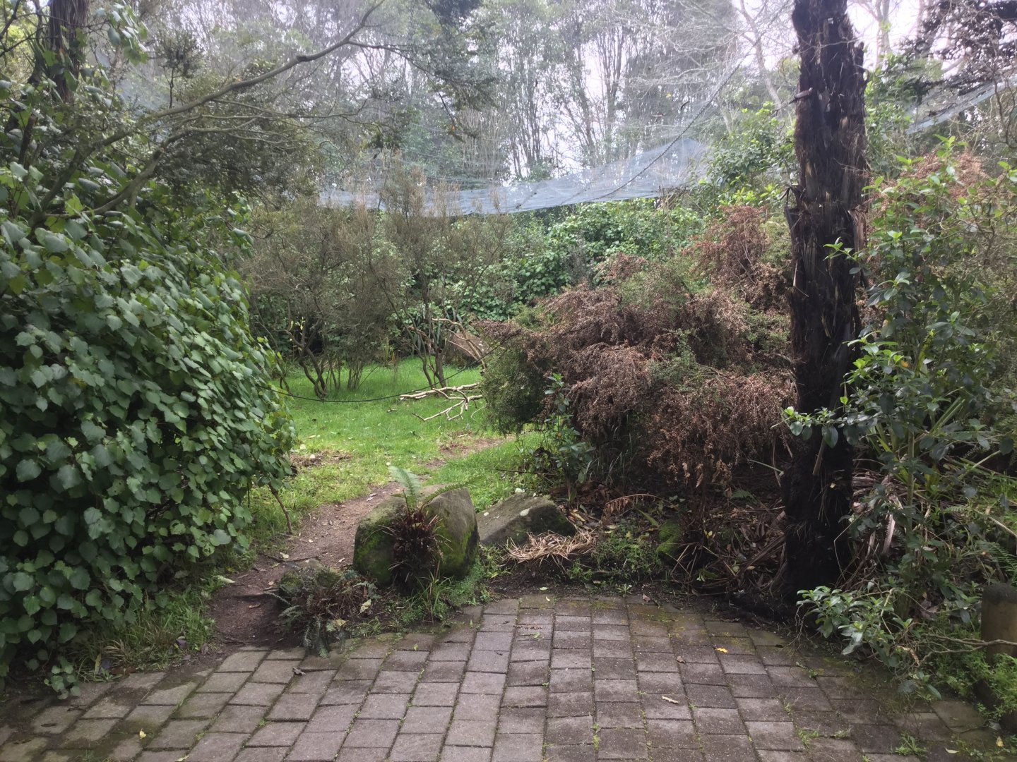 New Zealand Free Flight Sanctuary