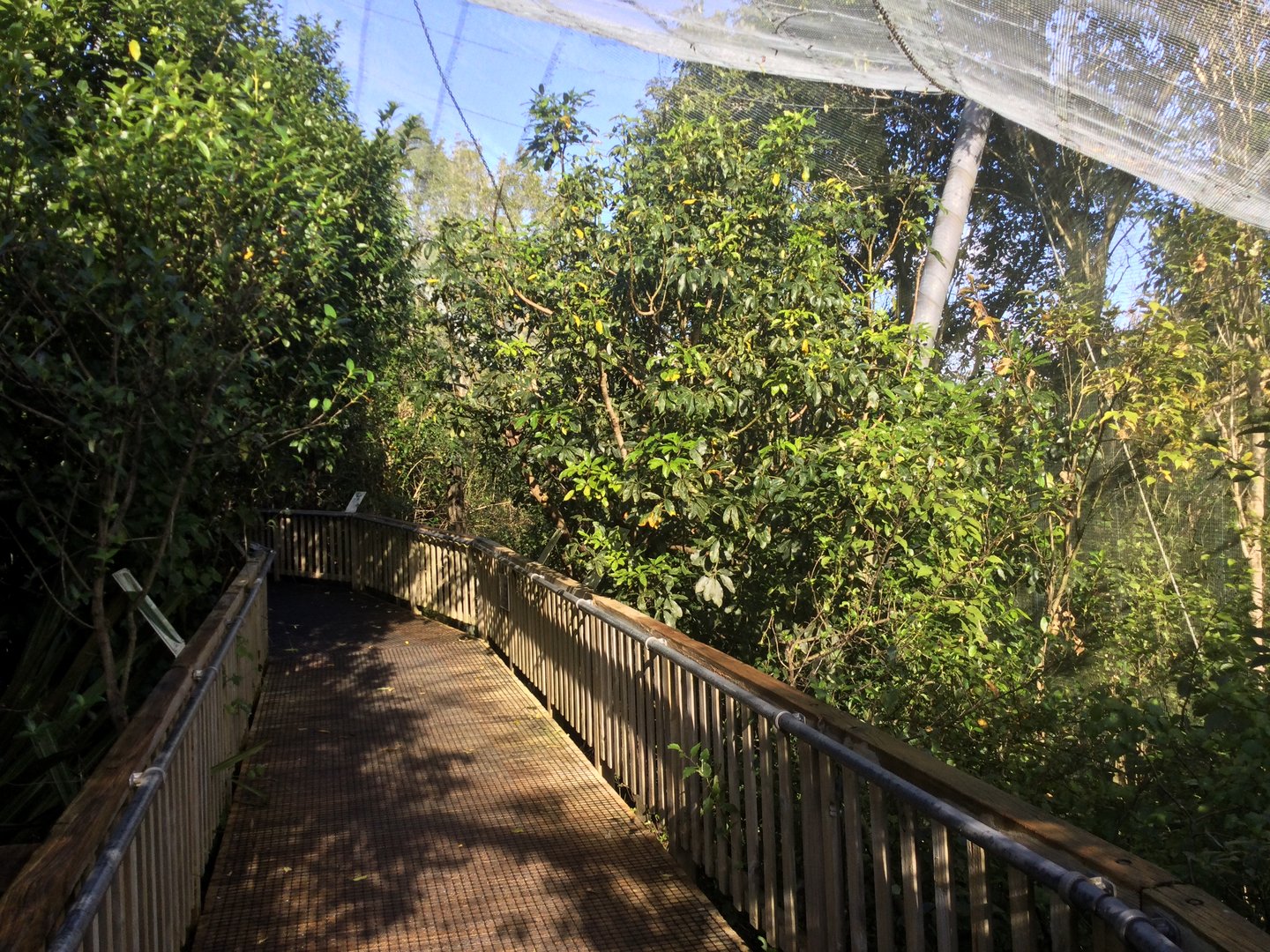 New Zealand Freeflight Aviary