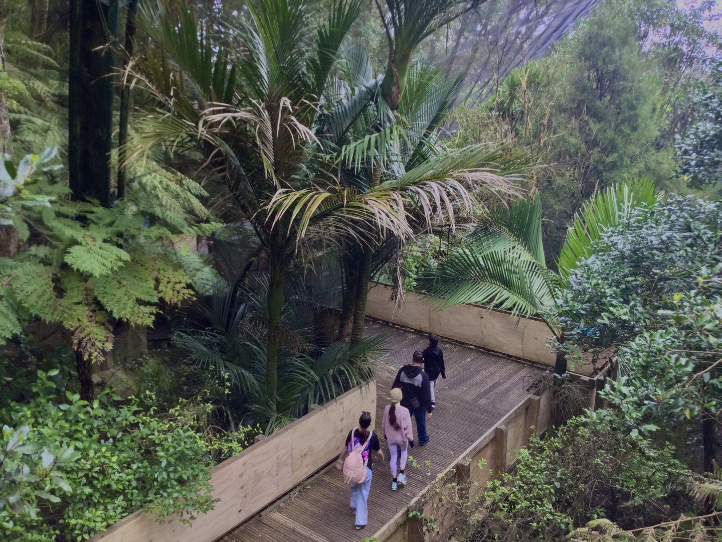 New Zealand Freeflight Aviary