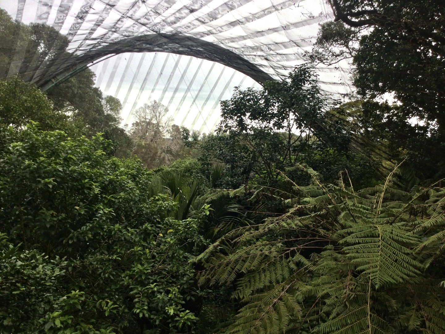 New Zealand Freeflight Aviary