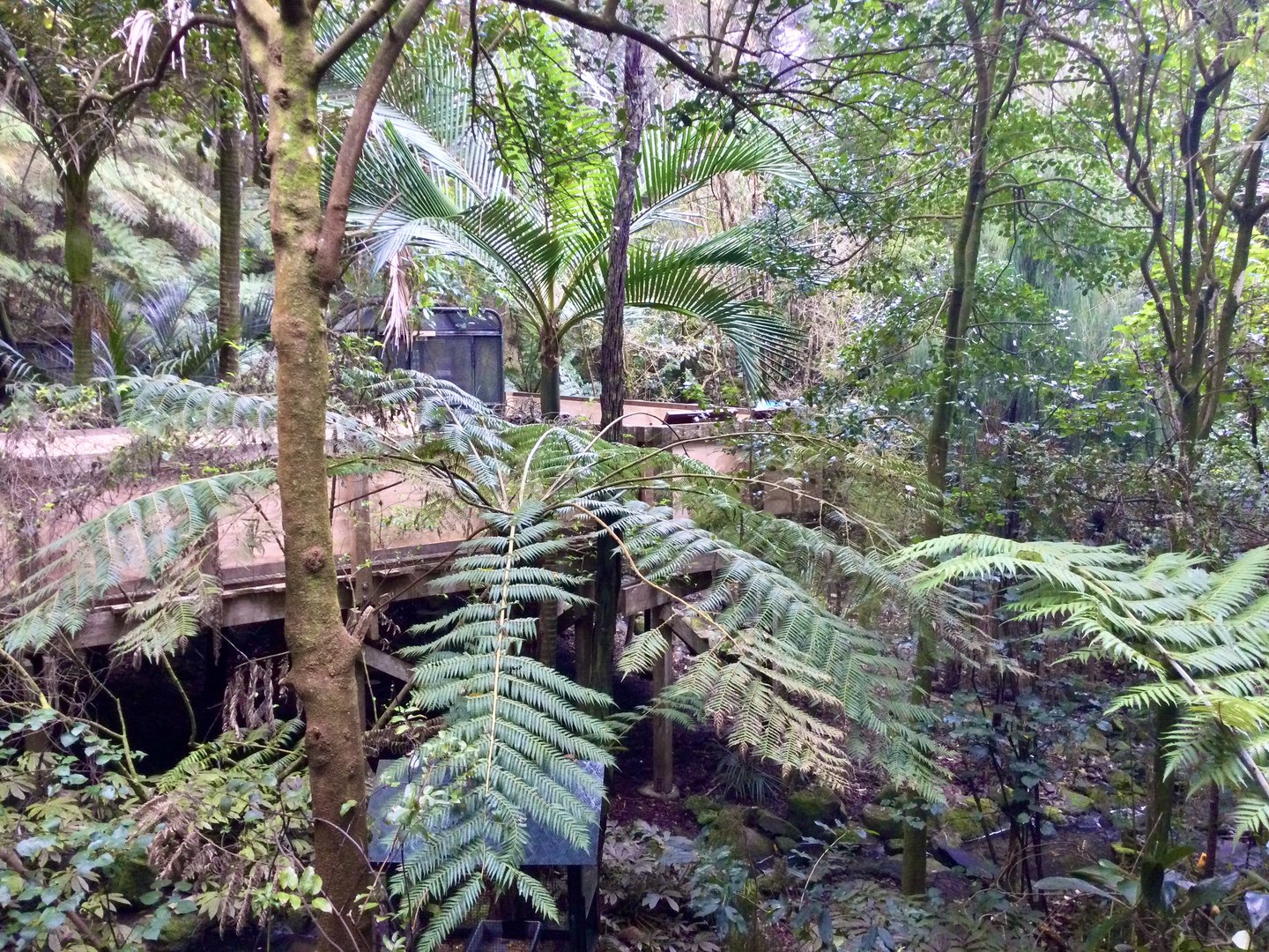 New Zealand Freeflight Aviary