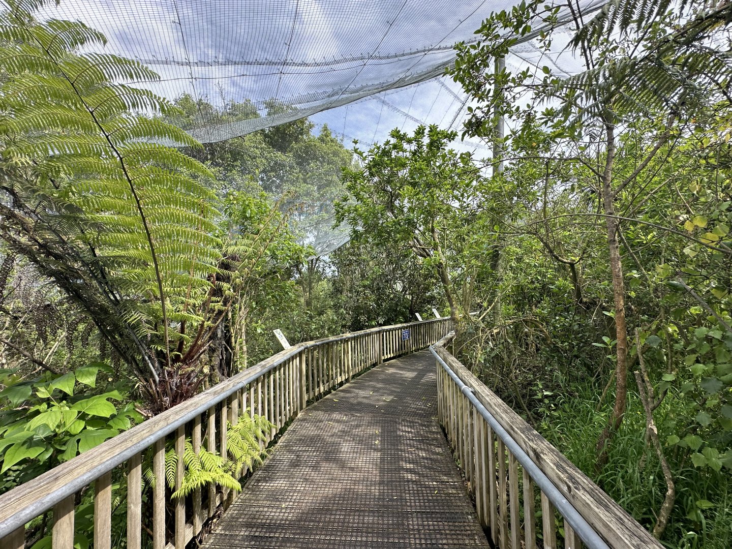 New Zealand Freeflight Aviary