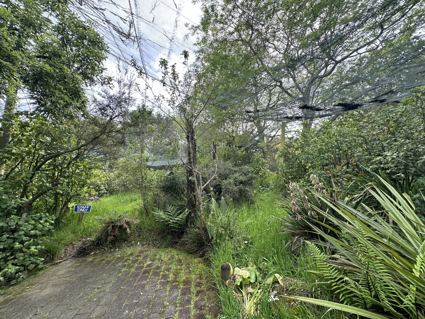 New Zealand Freeflight Aviary