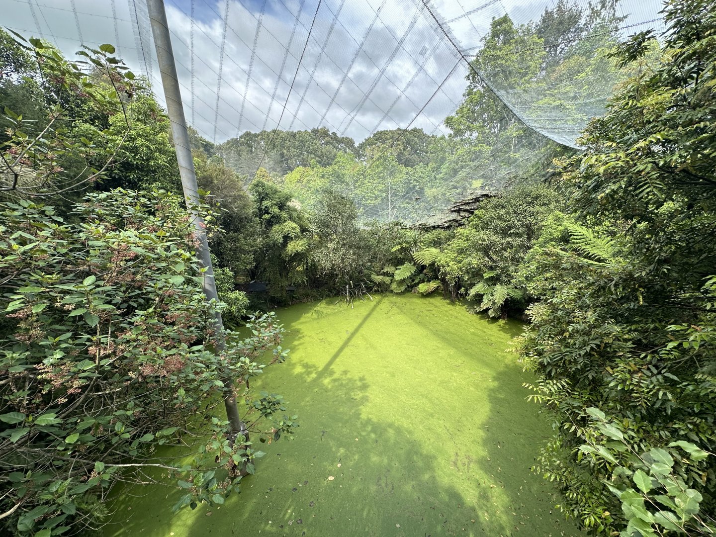 New Zealand Freeflight Aviary