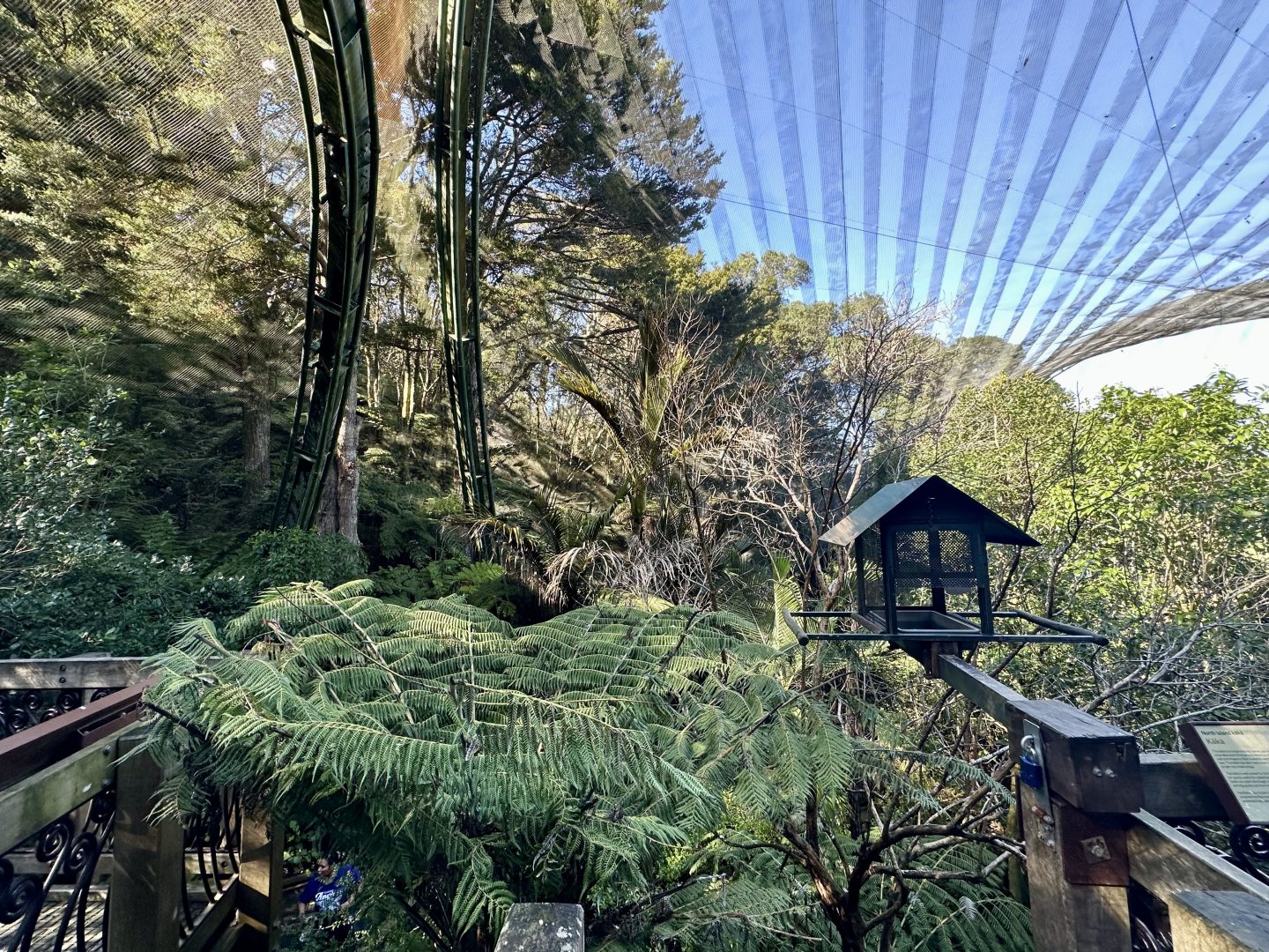 New Zealand Freeflight Aviary
