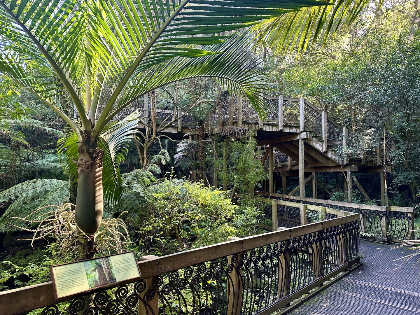 New Zealand Freeflight Aviary