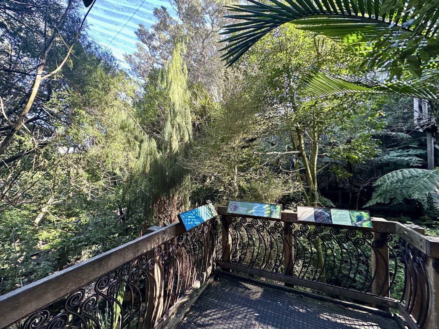 New Zealand Freeflight Aviary