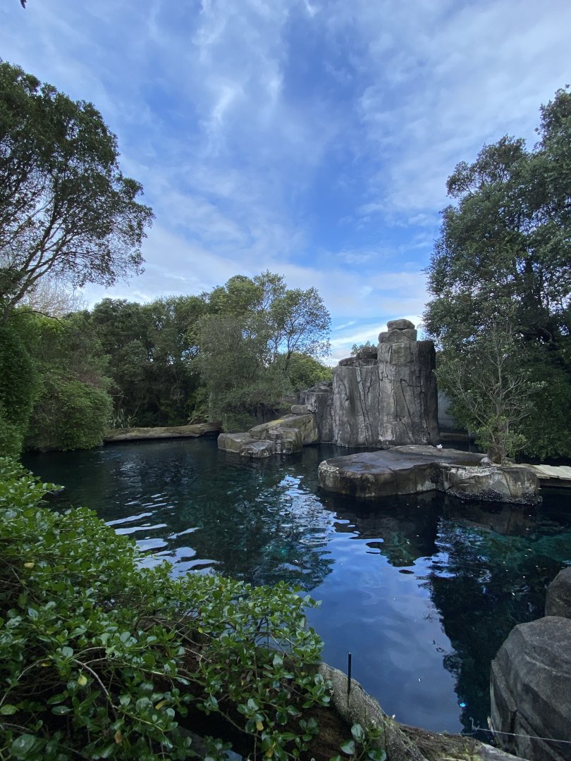 New Zealand Fur Seal enclosure