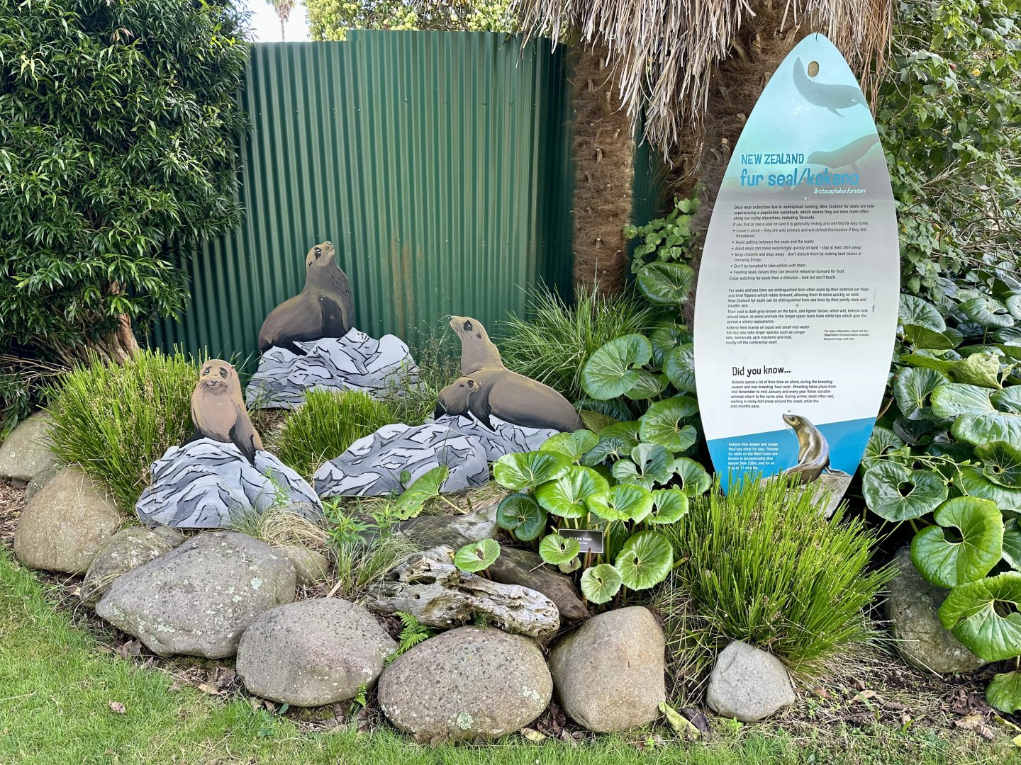 New Zealand Fur Seal Garden