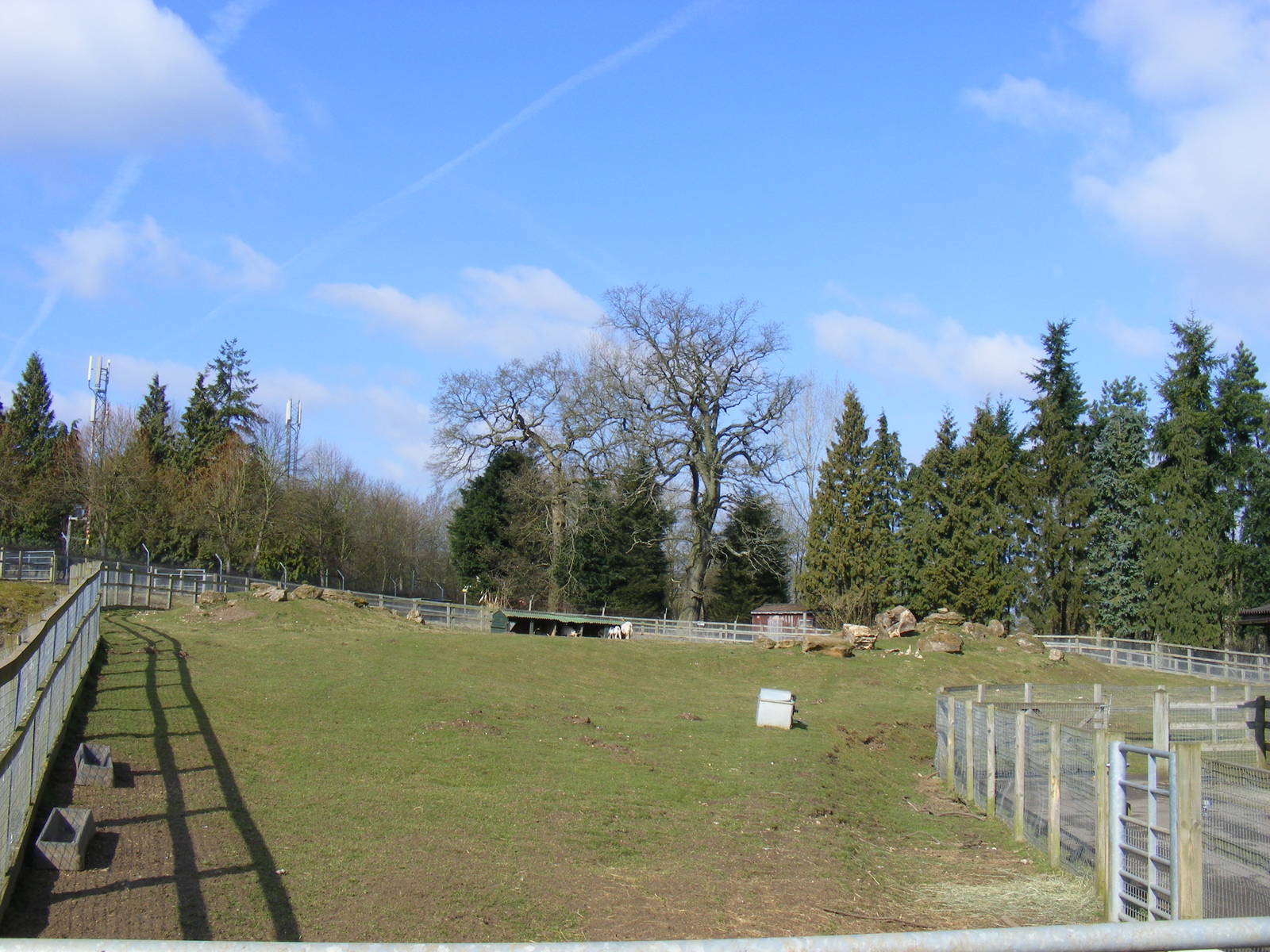 New Zealand Isles enclosure at Beale Park, 13th March 2010