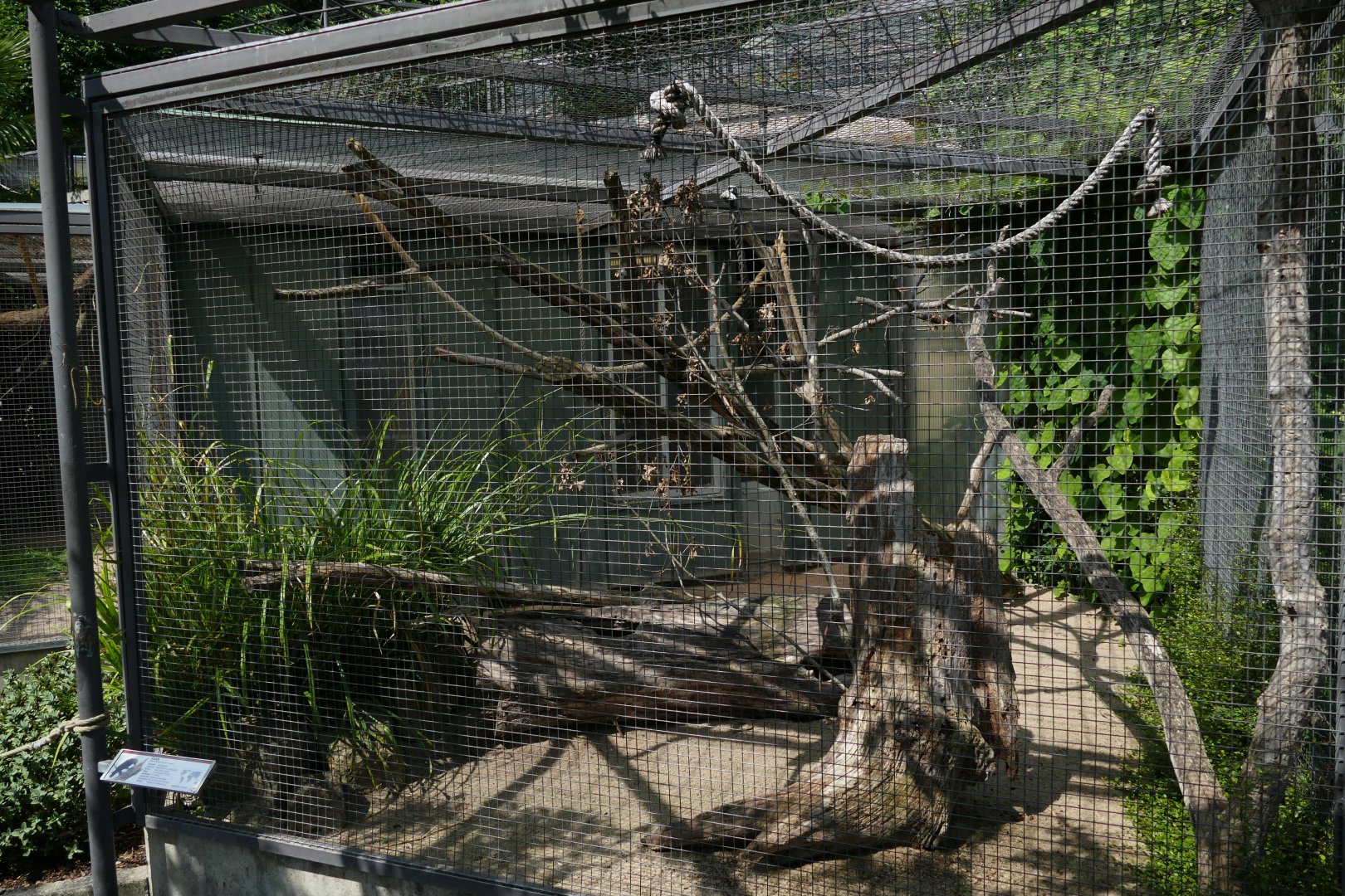 New Zealand Kaka Aviary