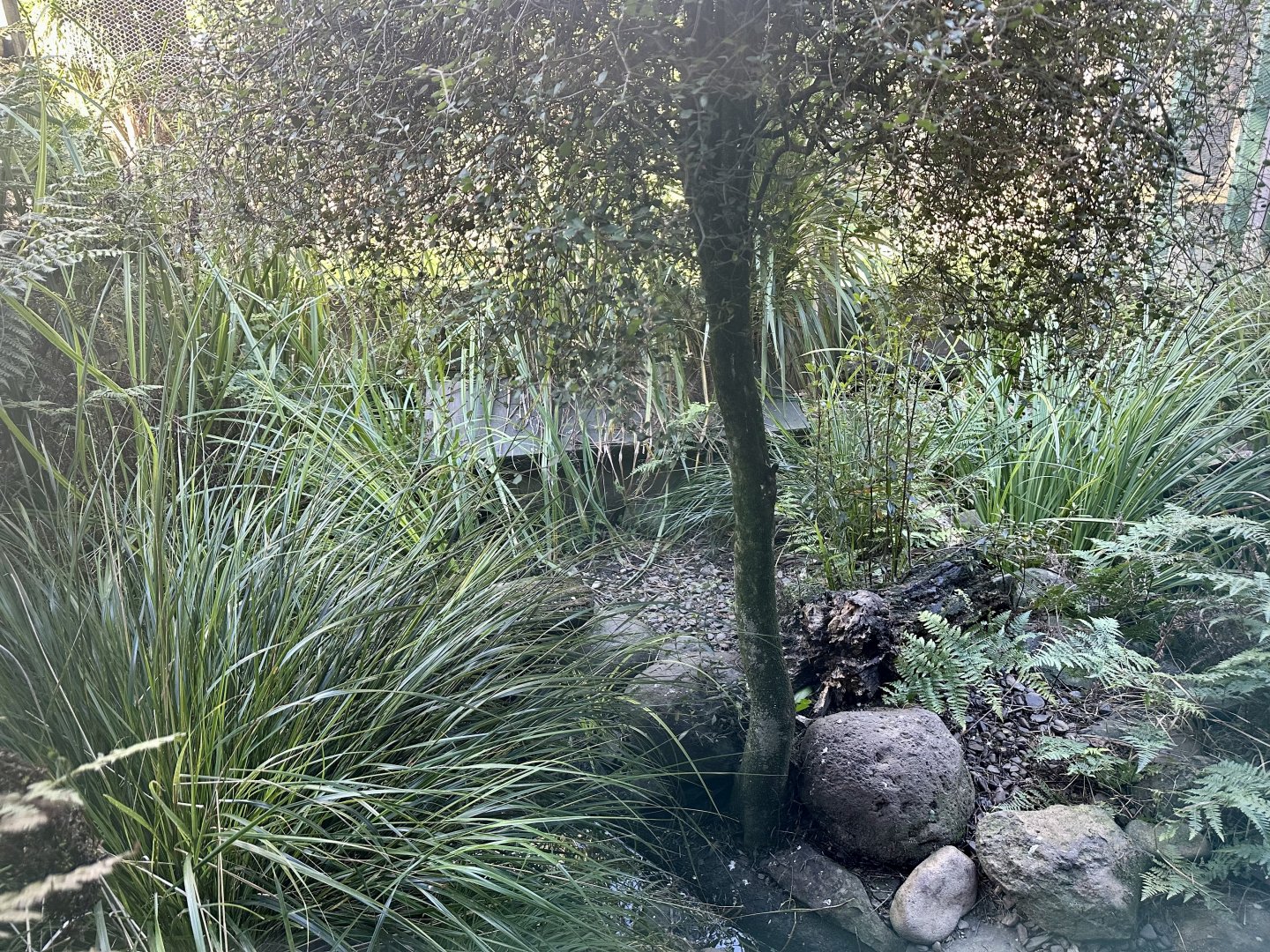 New Zealand Kingfisher Exhibit