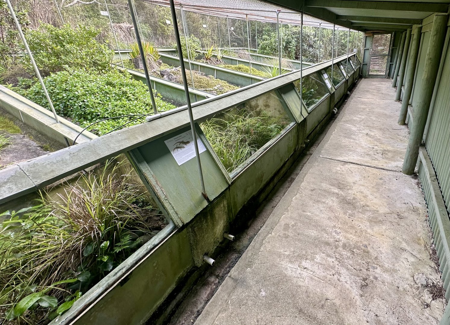 New Zealand Lizard House - Lower Tanks