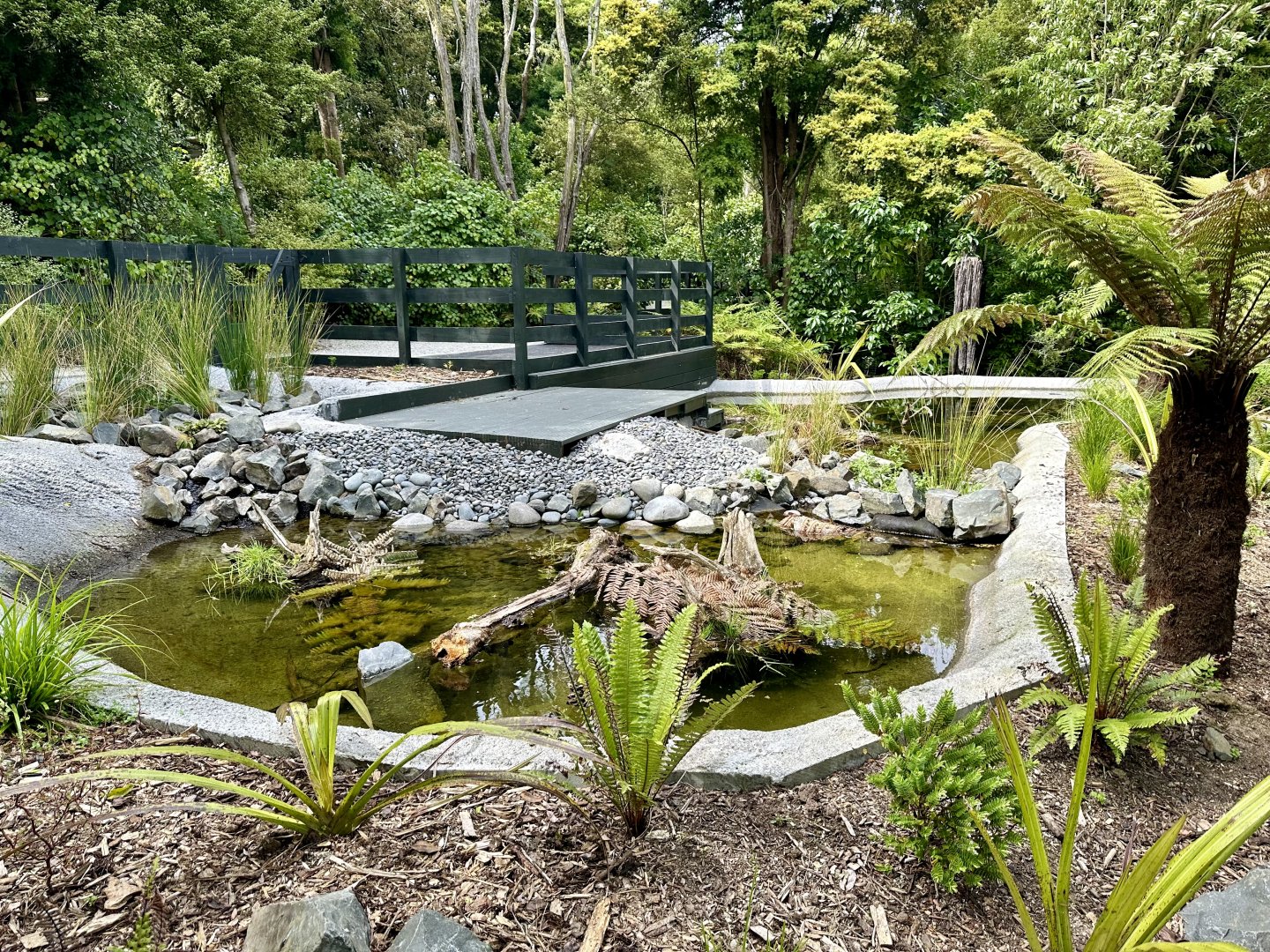 New Zealand Long-fin Eel Pond