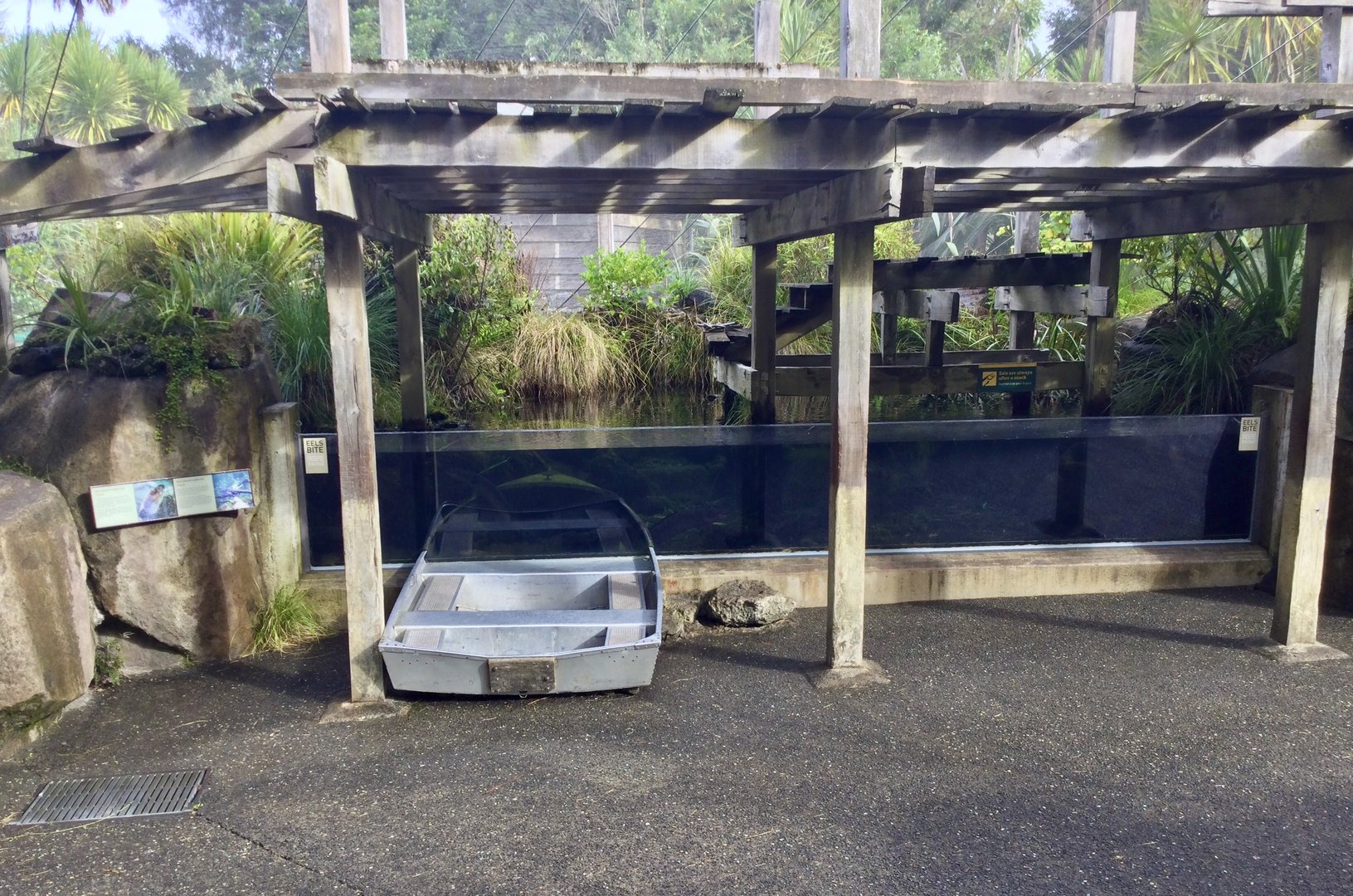 New Zealand Longfin Eel Pond (The Wetlands) - New Zealand Precinct