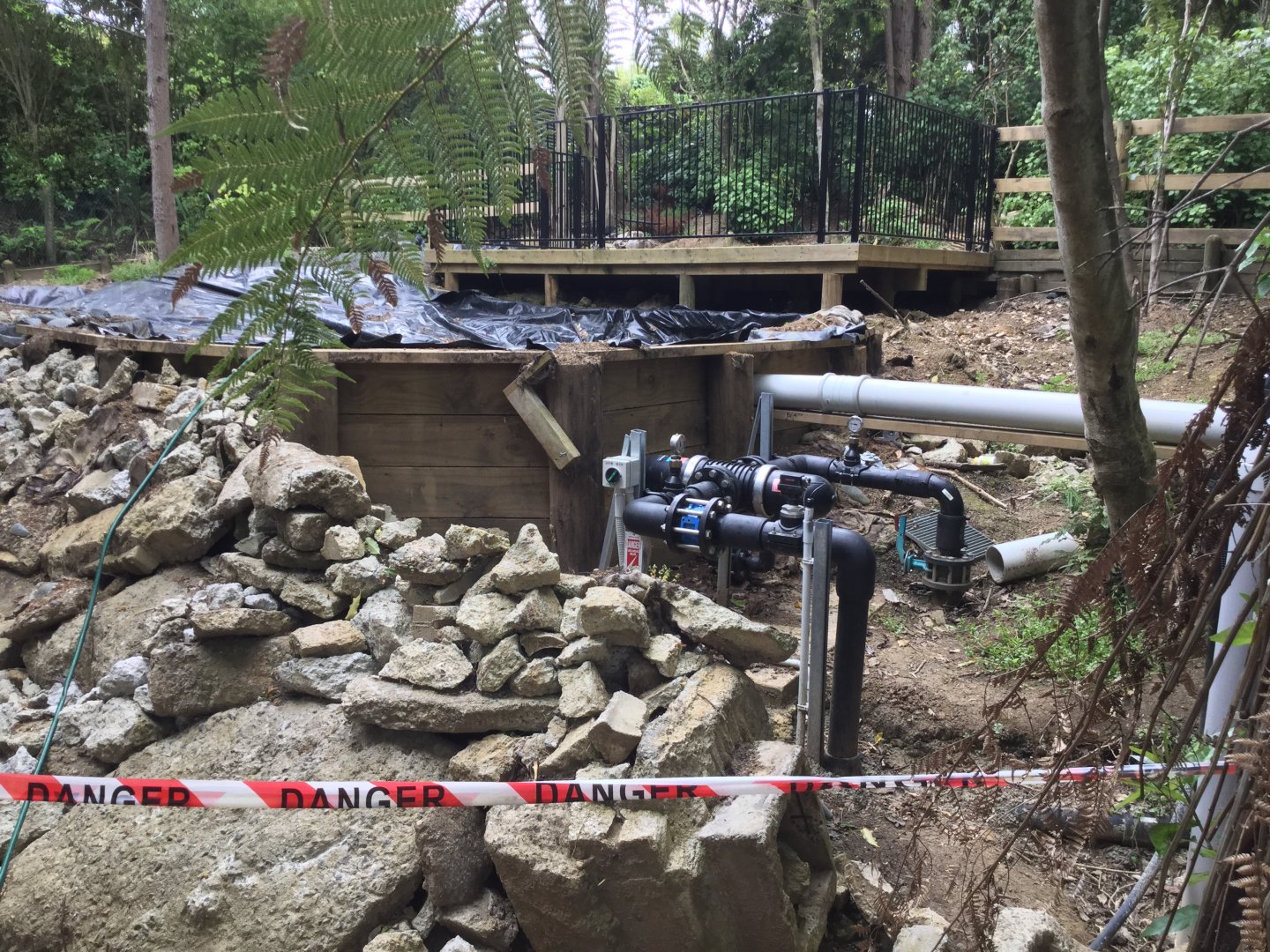 New Zealand Longfin Eel Pond (Under Construction)