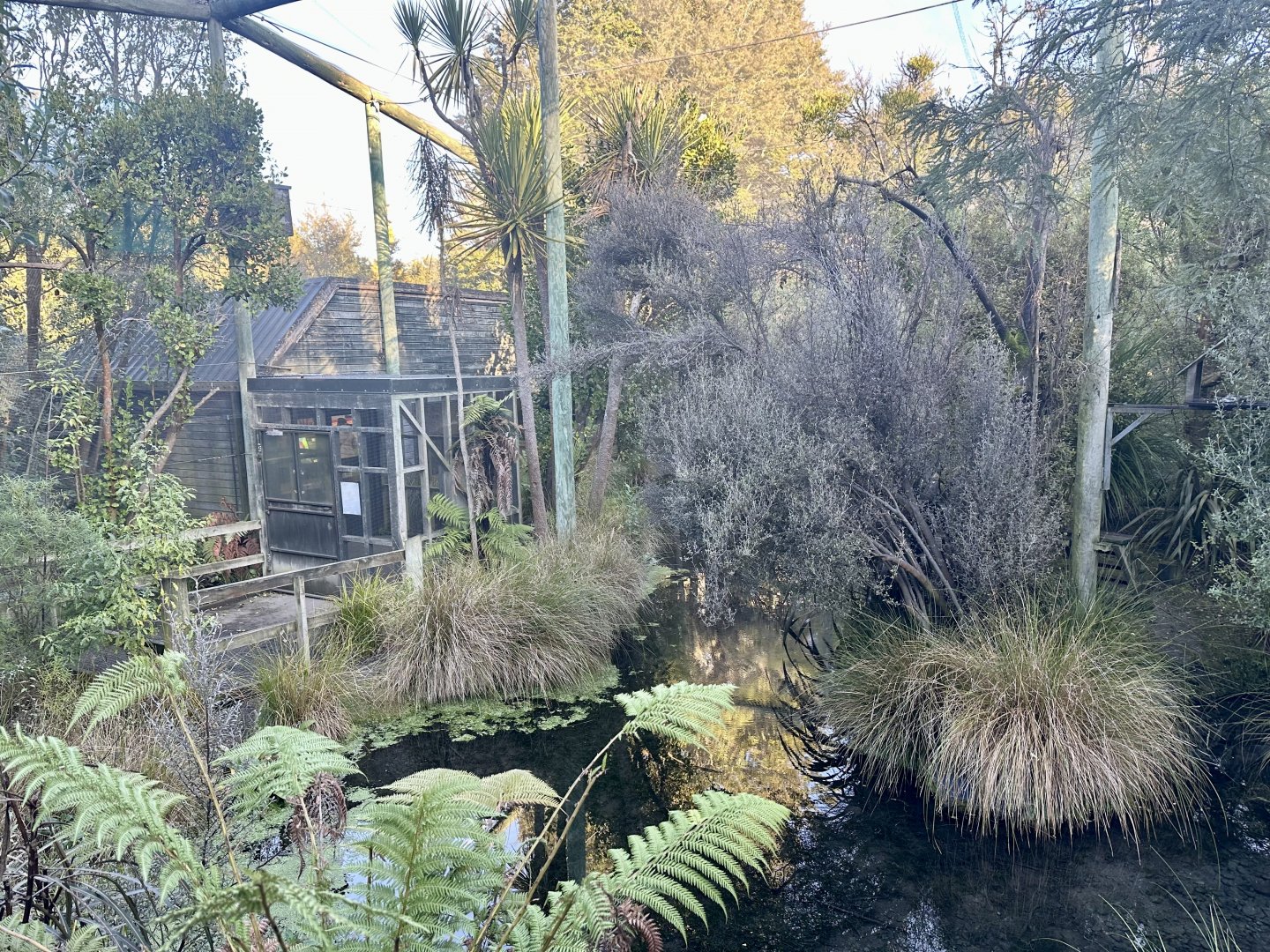 New Zealand Lowland Aviary