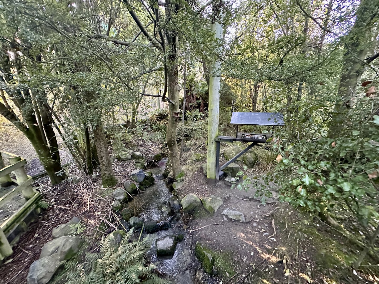 New Zealand Lowland Aviary