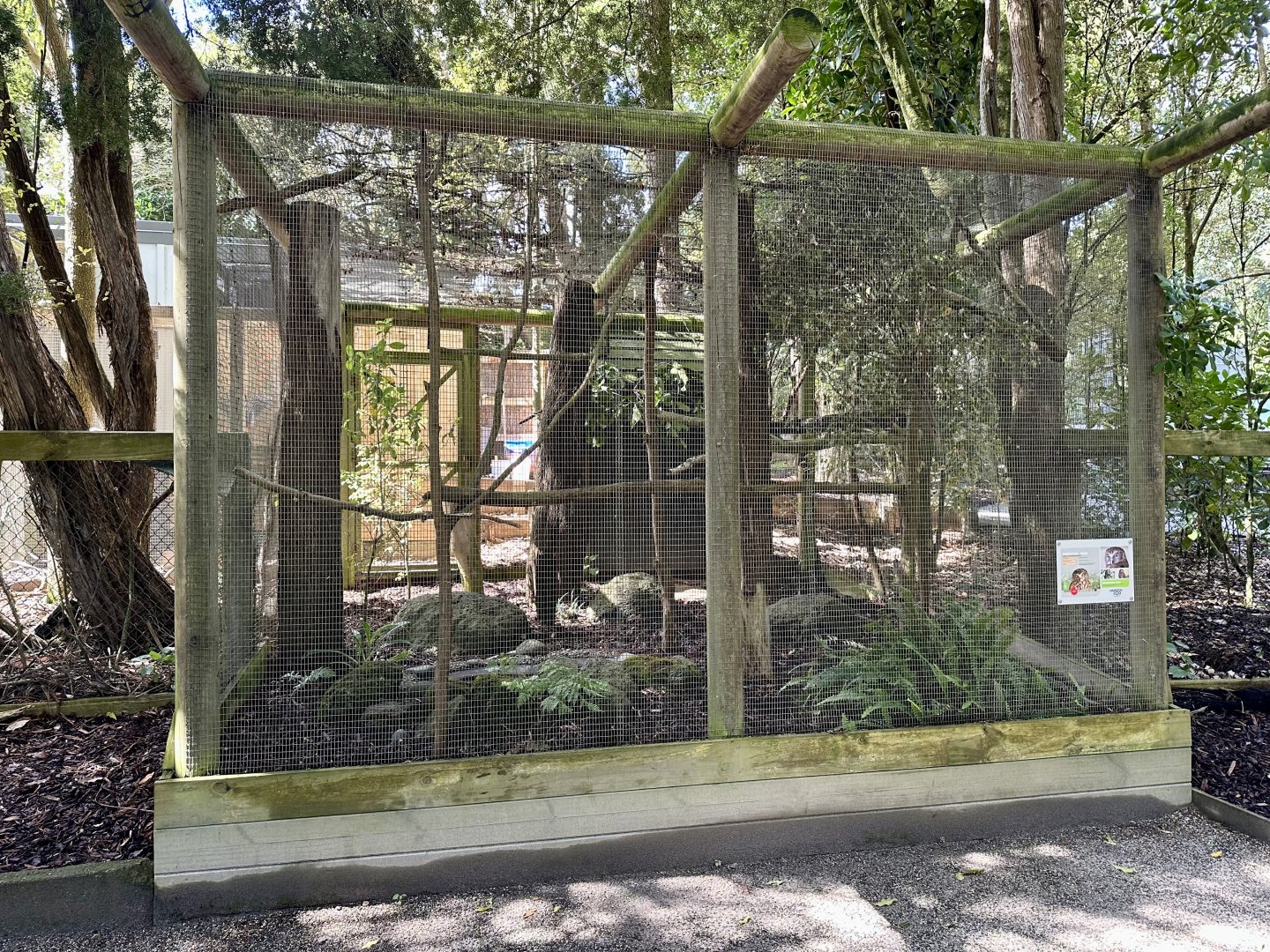 New Zealand Morepork Aviary (New)