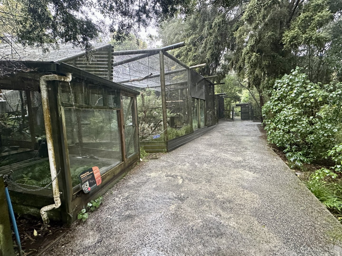 New Zealand Native Bird Precinct