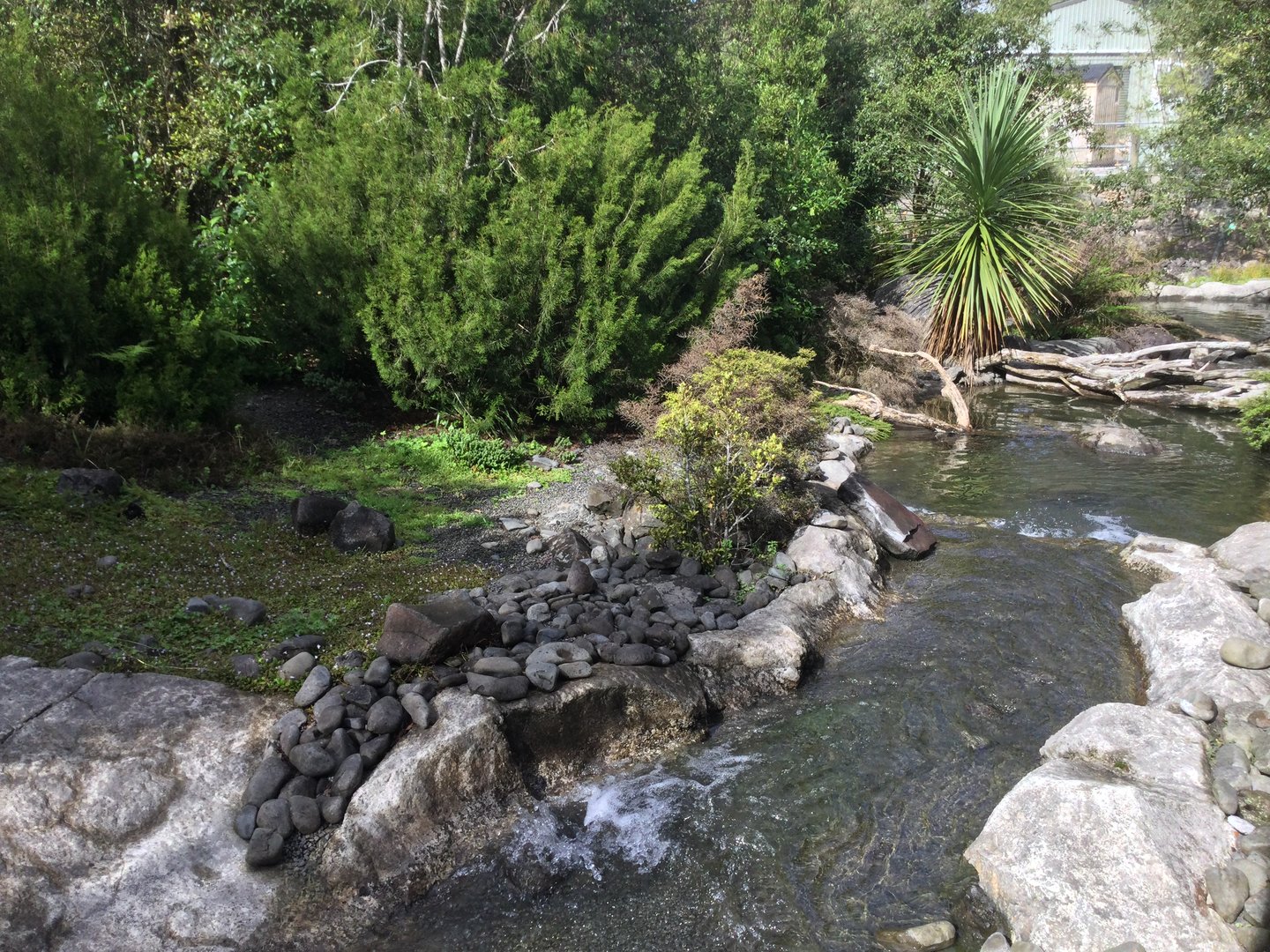 New Zealand Native Precinct - The High Country