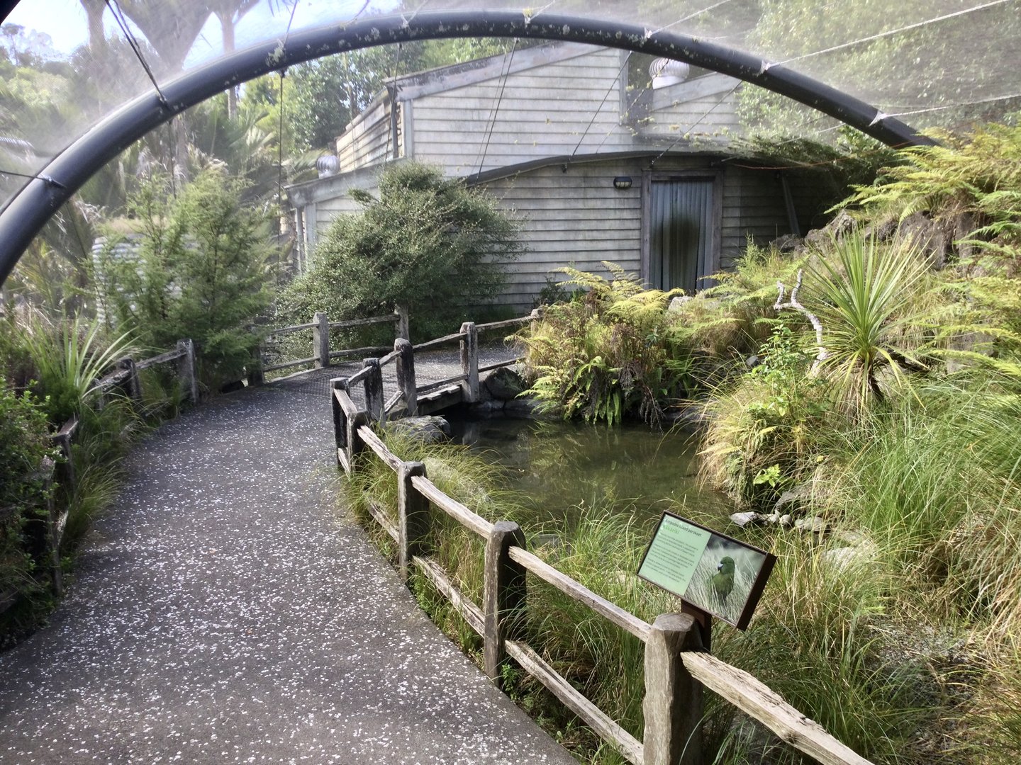 New Zealand Native Precinct - The Islands