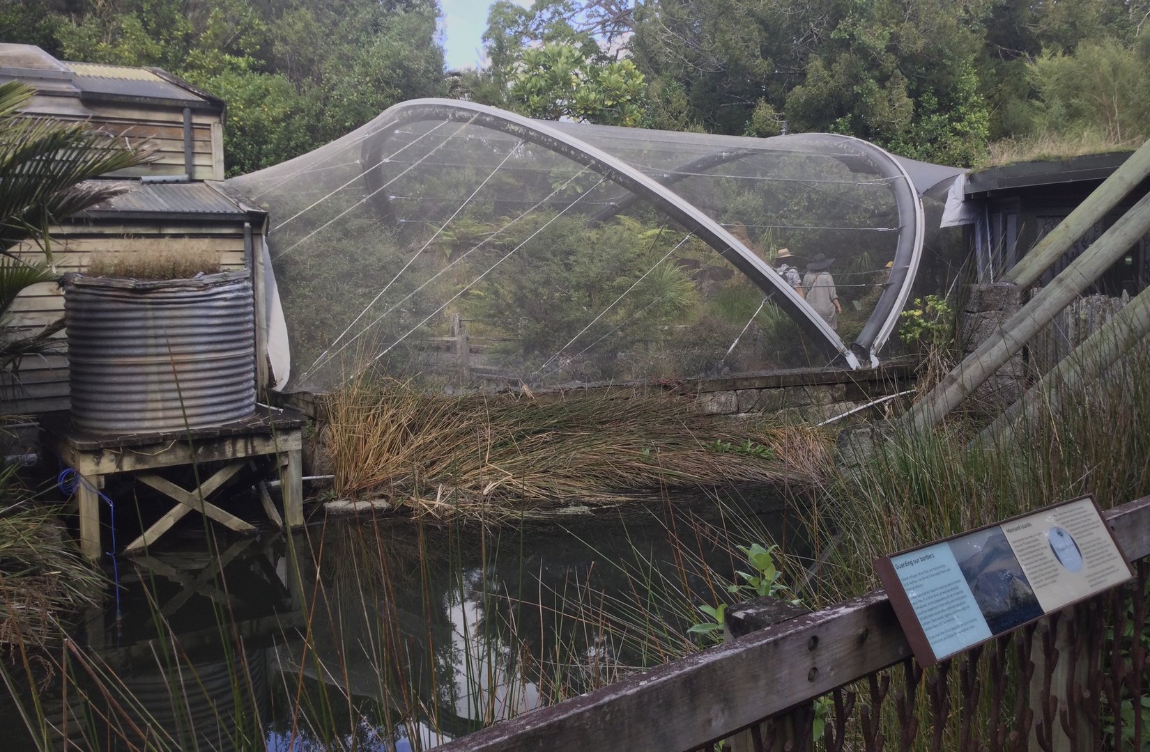 New Zealand Native Precinct - The Islands