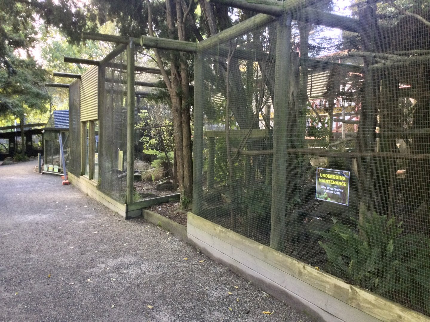 New Zealand Predator Exhibits (Opening Soon)