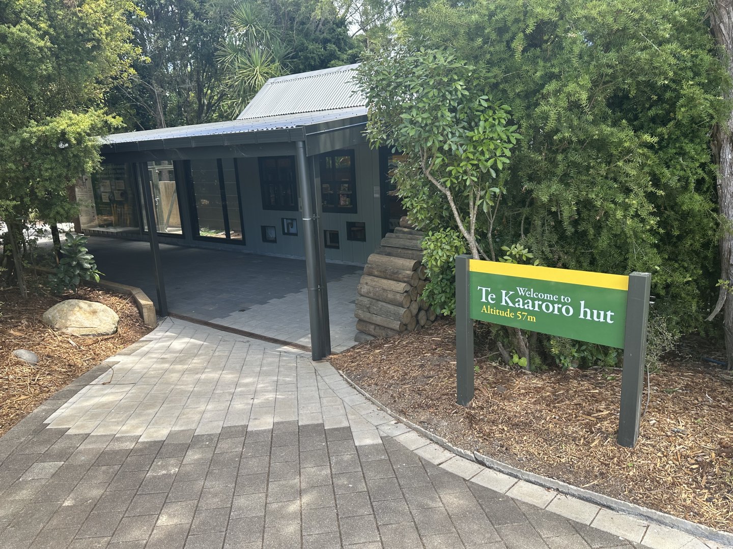 New Zealand Predators (New)