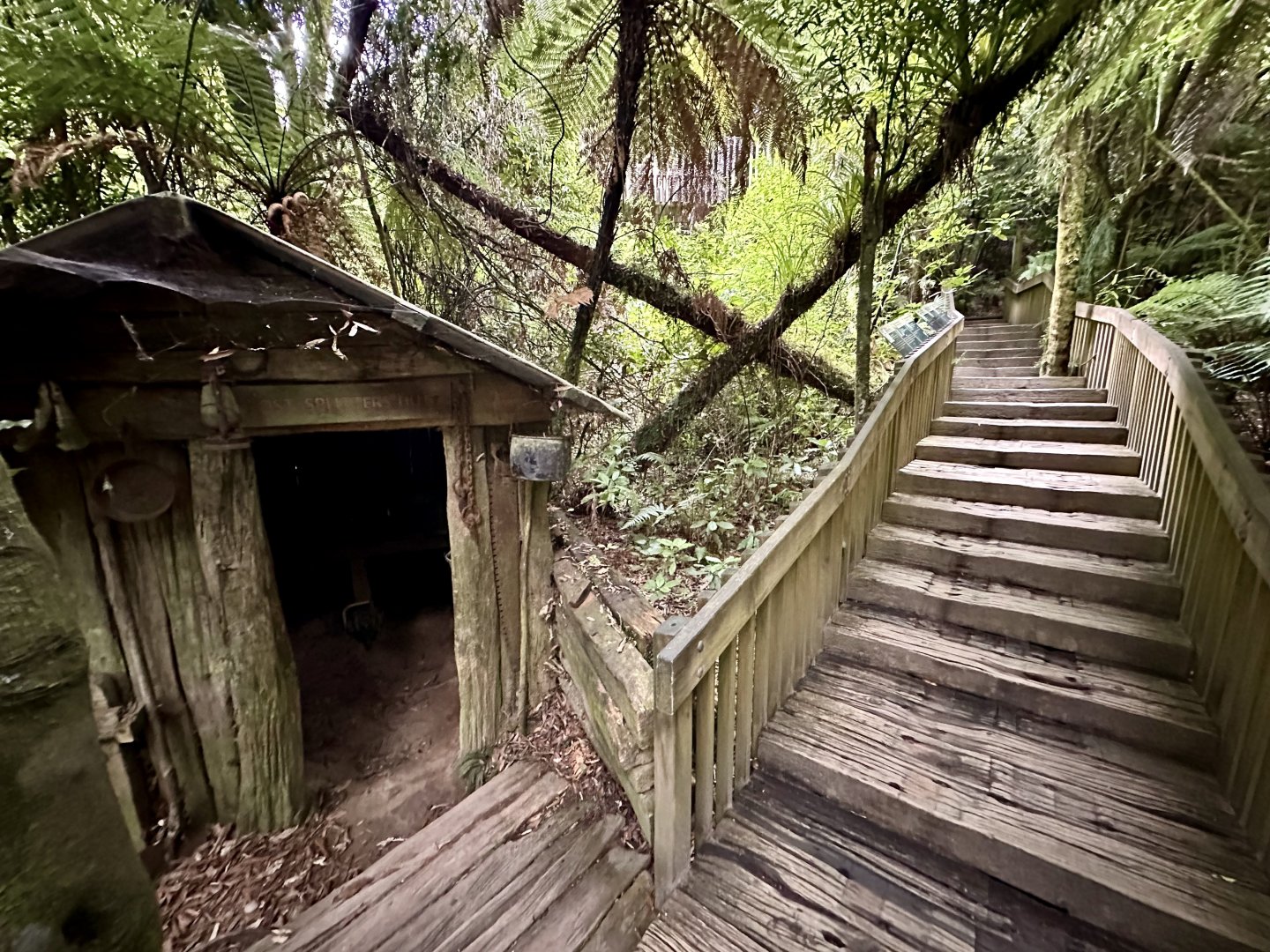 New Zealand Rainforest Trail (Bush Hut)