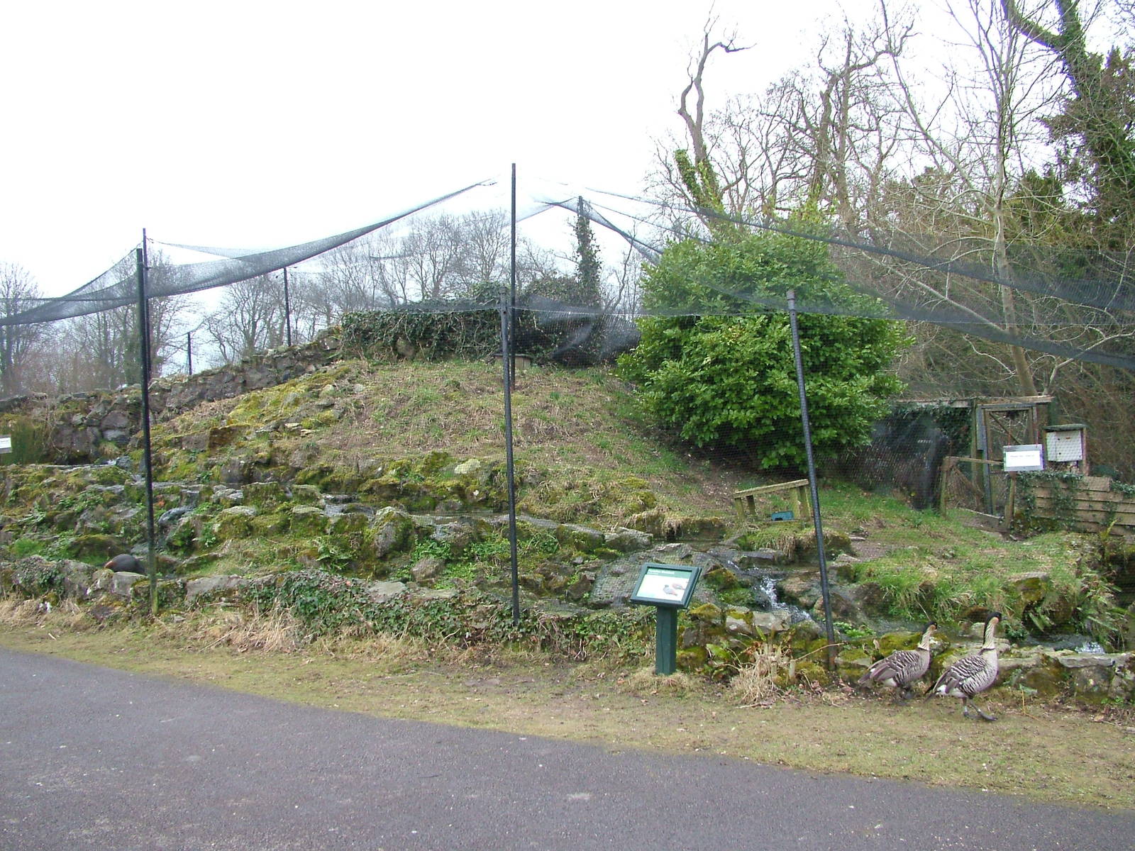 New Zealand Waterfalls exhibit at Arundel WWT 13/03/10