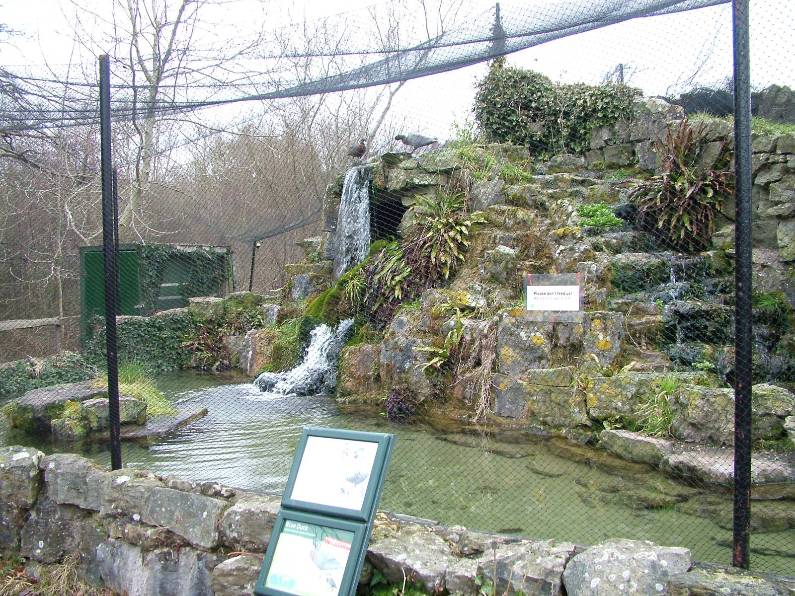 New Zealand Waterfalls exhibit at Arundel WWT 13/03/10