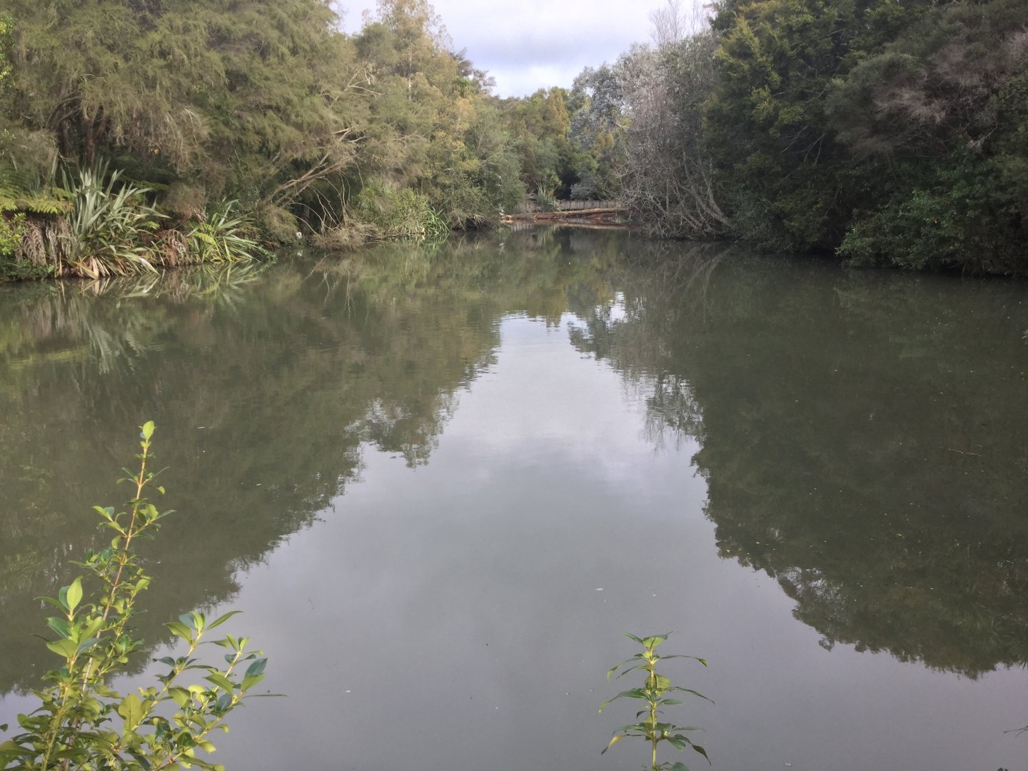 New Zealand Wetlands Exhibit