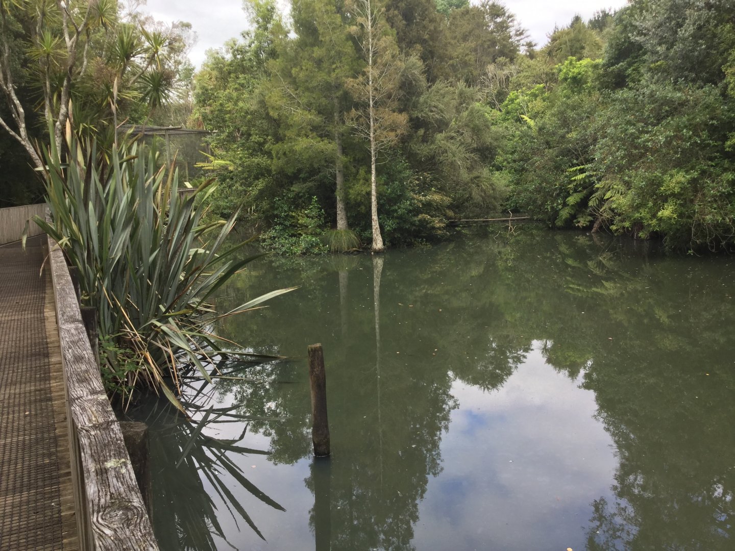 New Zealand Wetlands Exhibit
