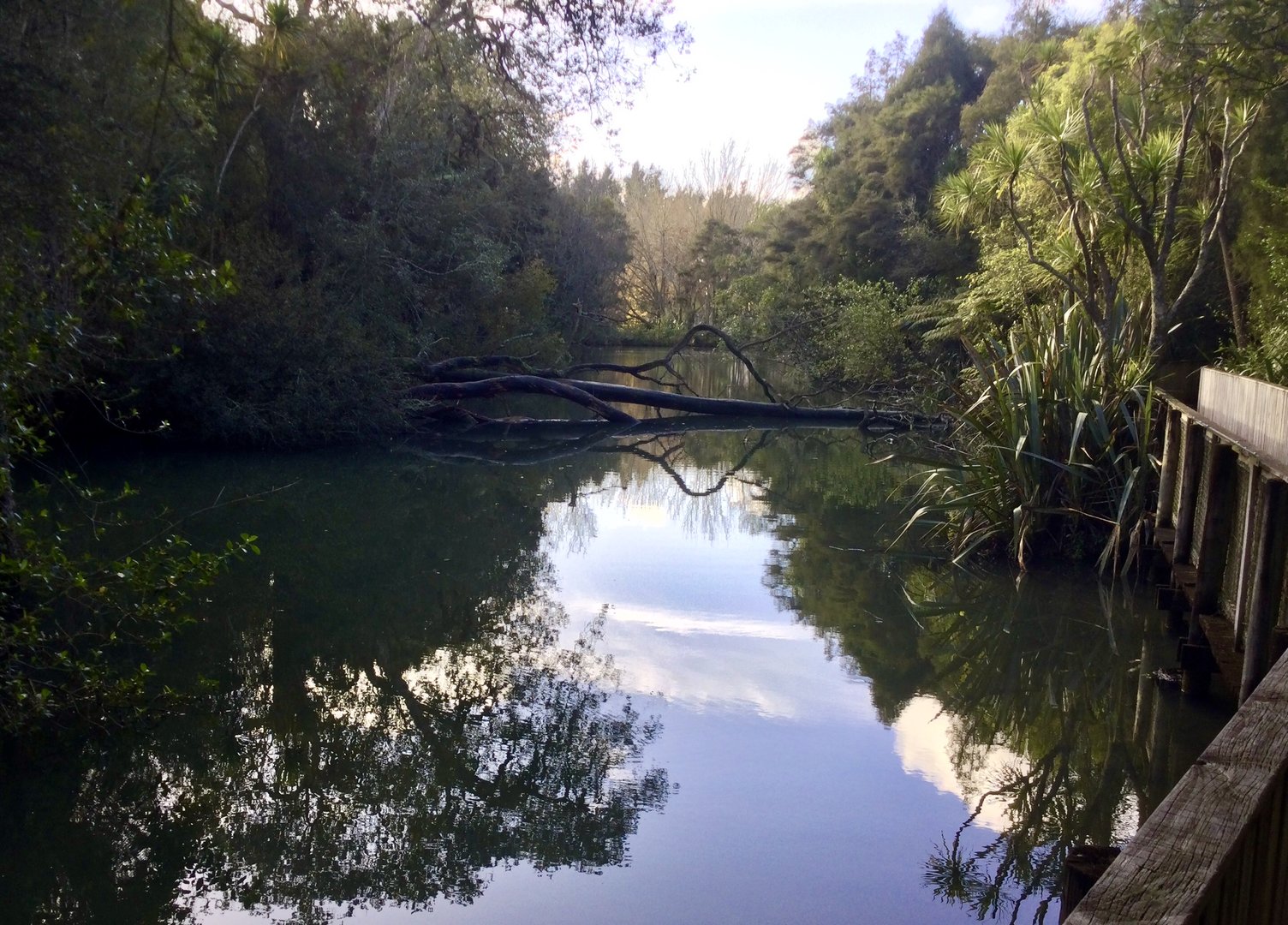 New Zealand Wetlands Exhibit