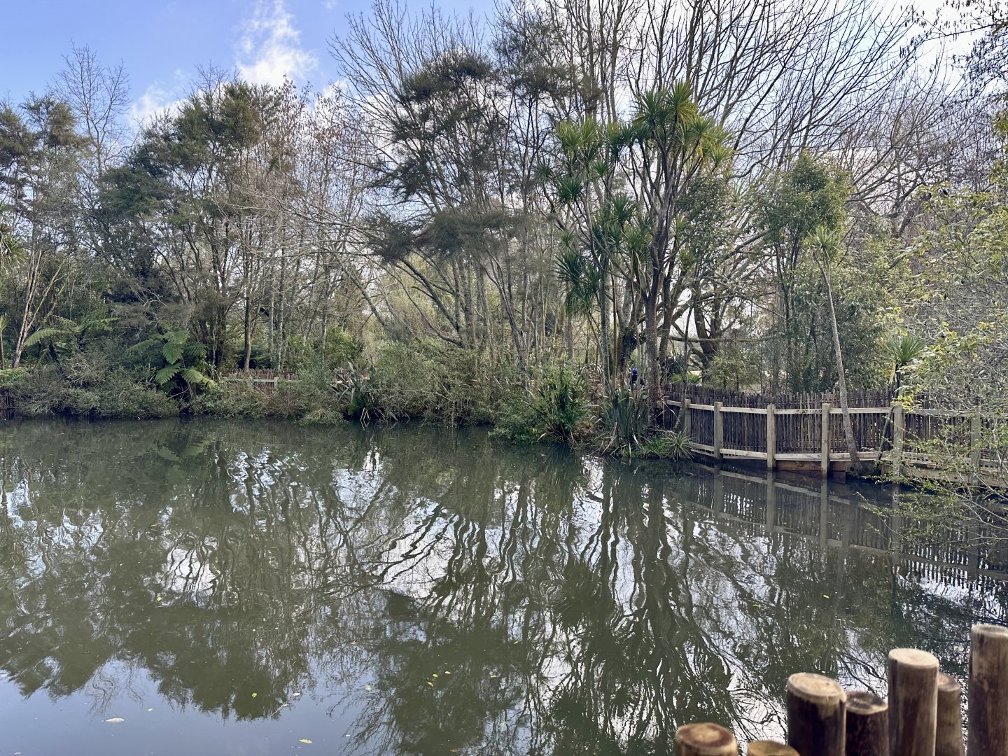 New Zealand Wetlands Exhibit