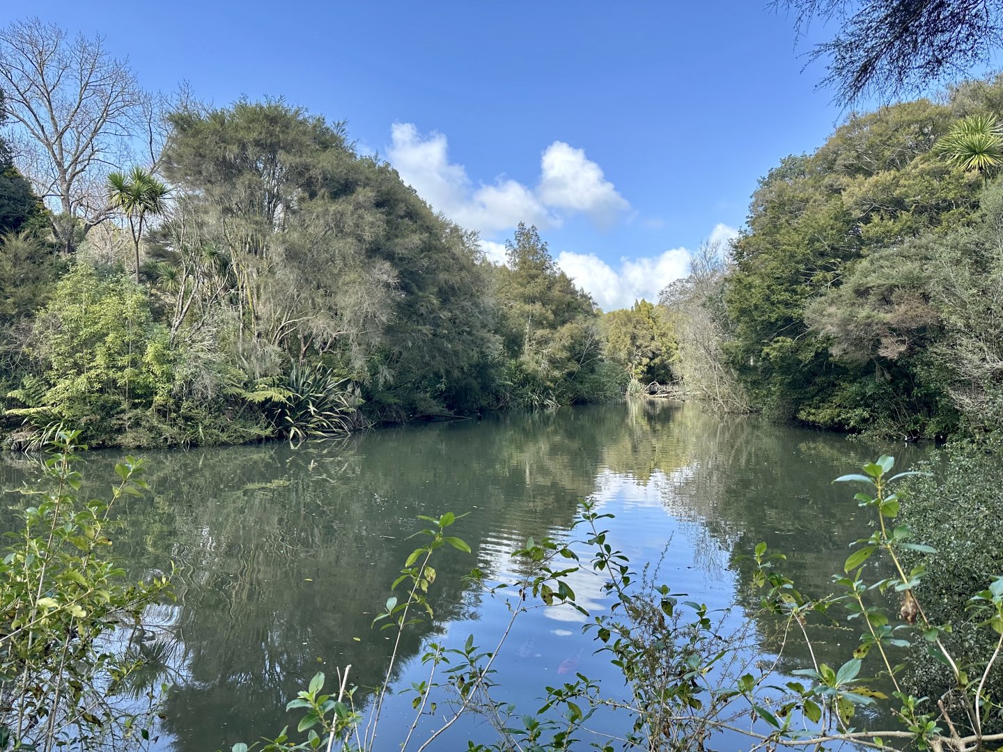 New Zealand Wetlands Exhibit