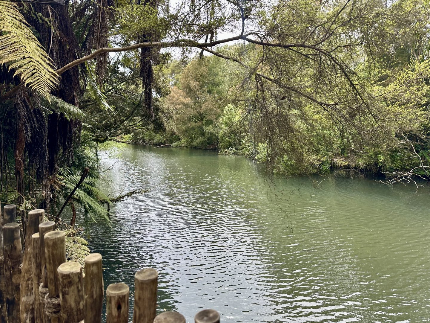 New Zealand Wetlands Exhibit